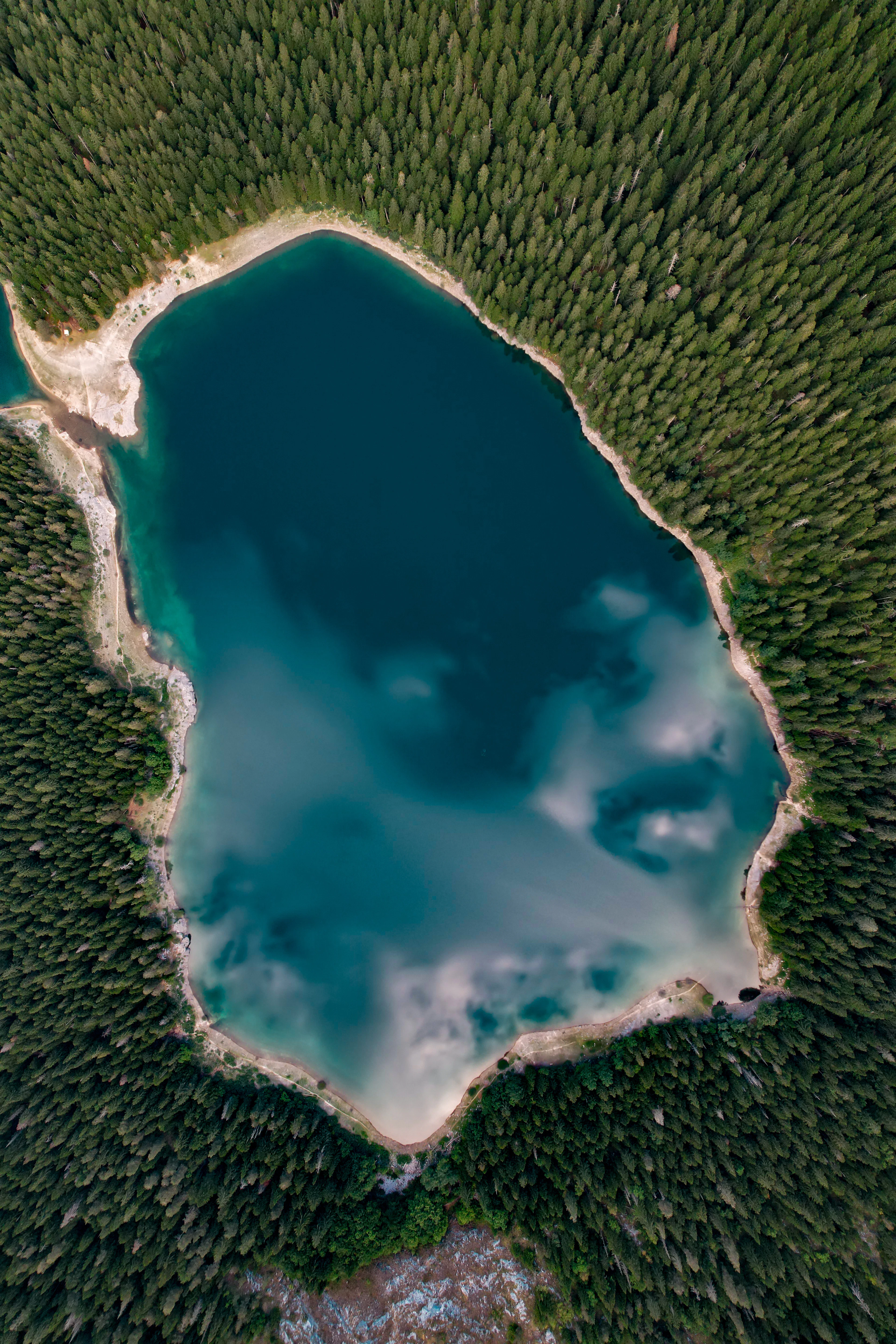 Jezero i šuma iz vazduha