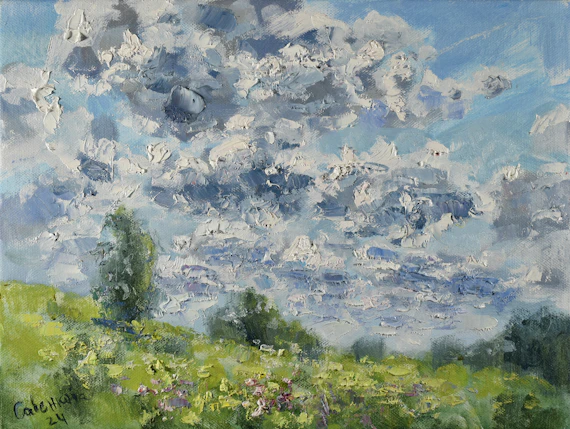 Beautiful clouds hover over a flowering meadow.