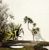 Plants and trees bask in the sun's light.