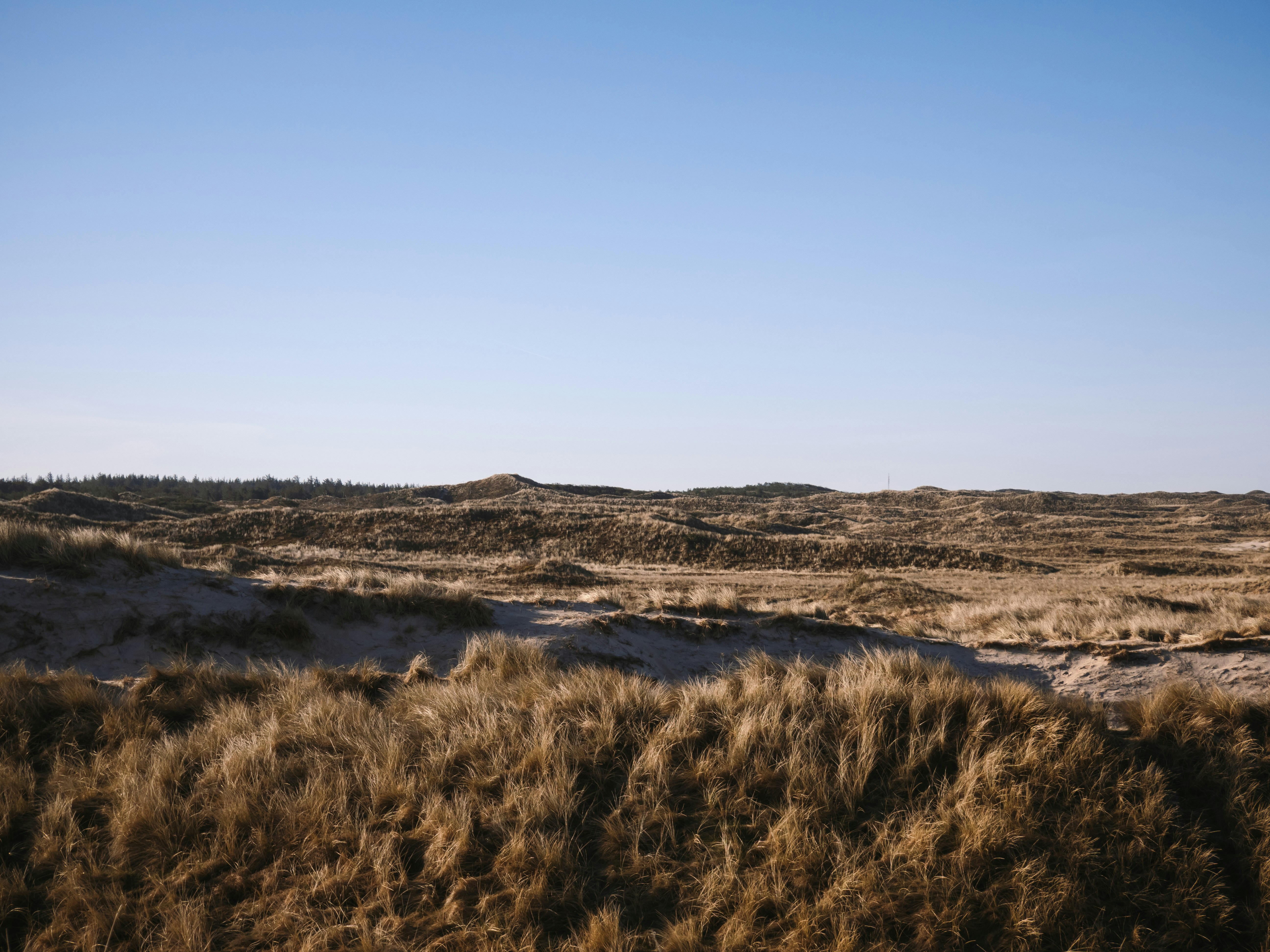 Photo by paulinaherpel