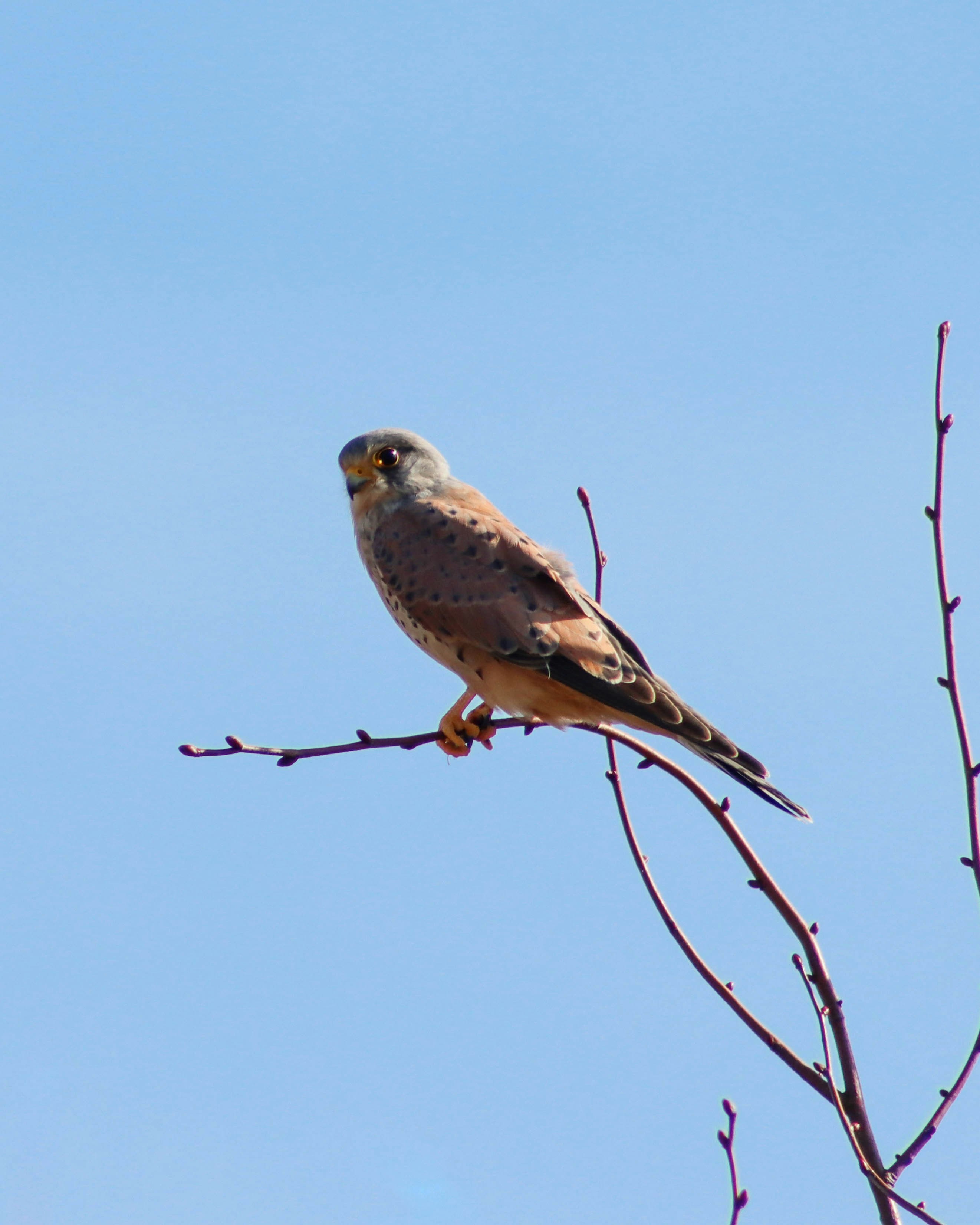 Photo by ishxmphotos