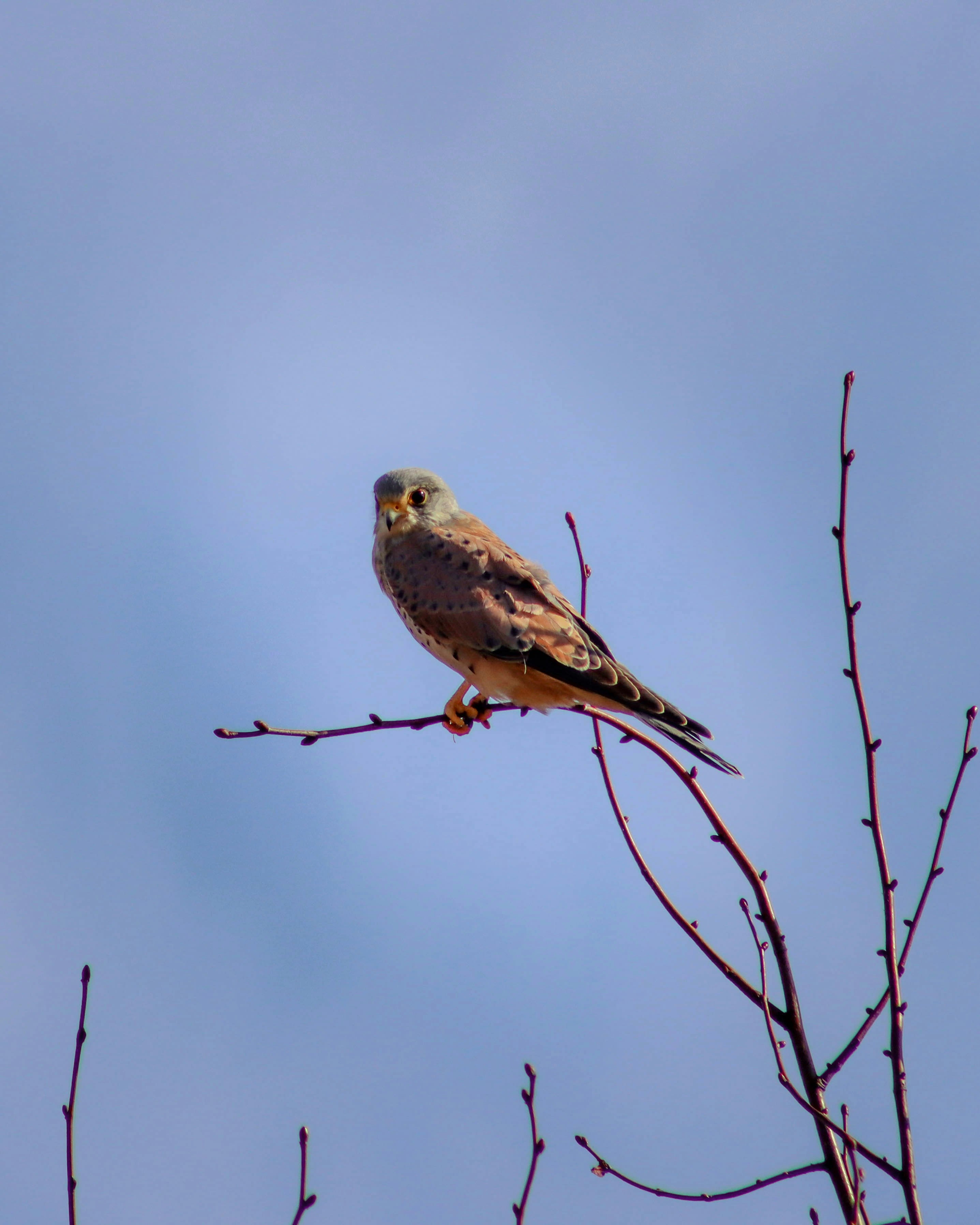 Photo by ishxmphotos