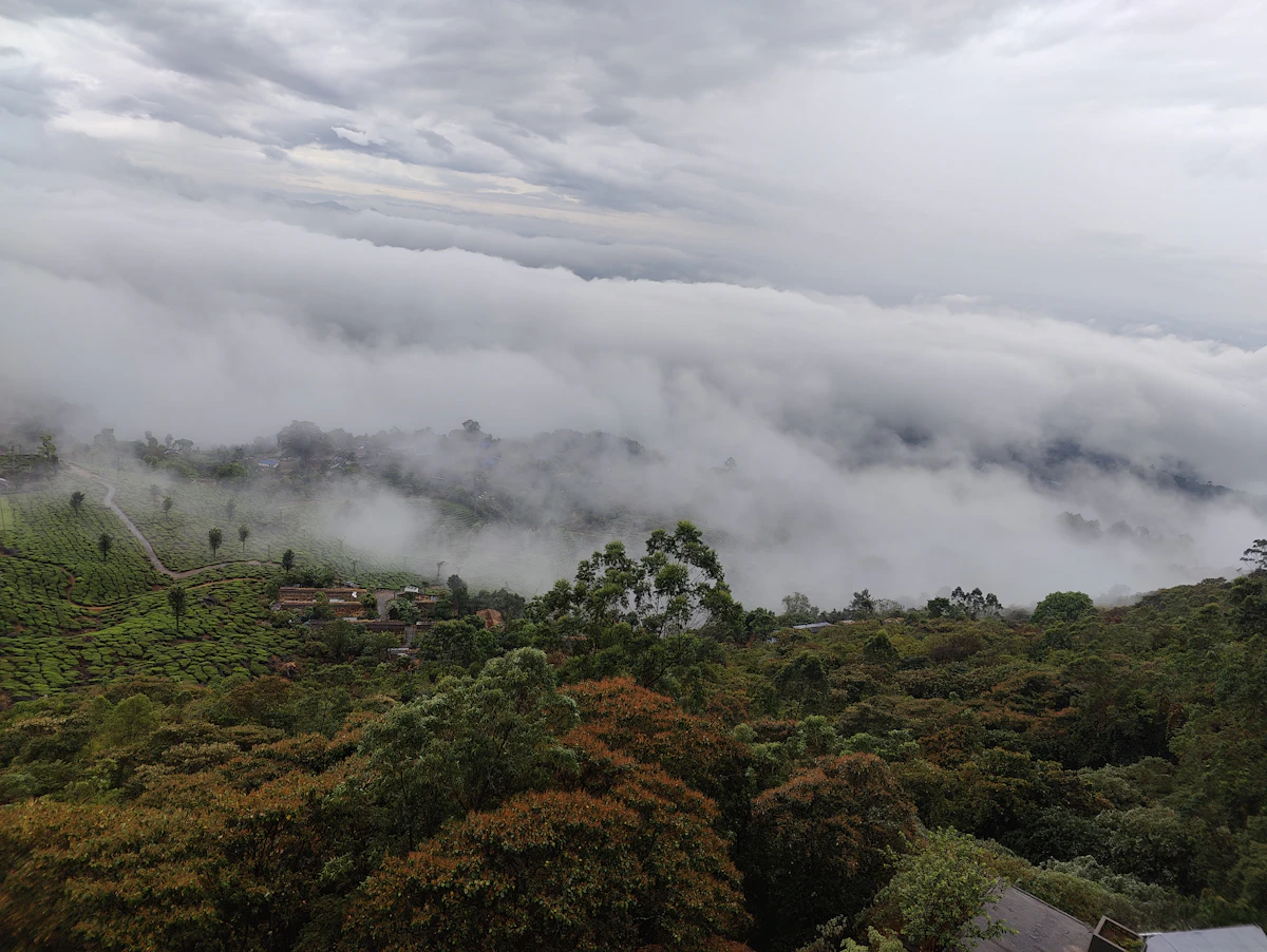 Munnar Hills