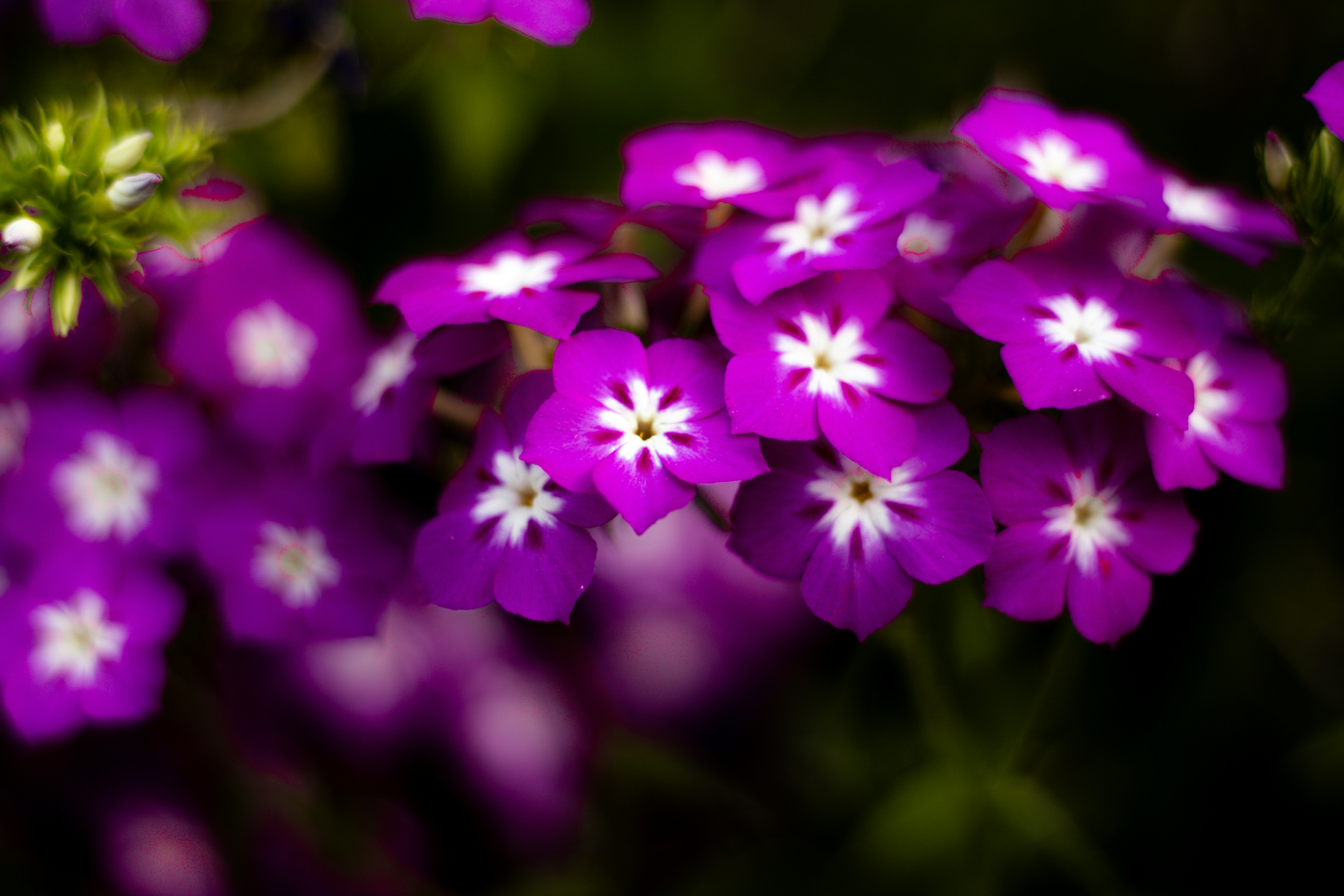 Photo by akshat_jhingran