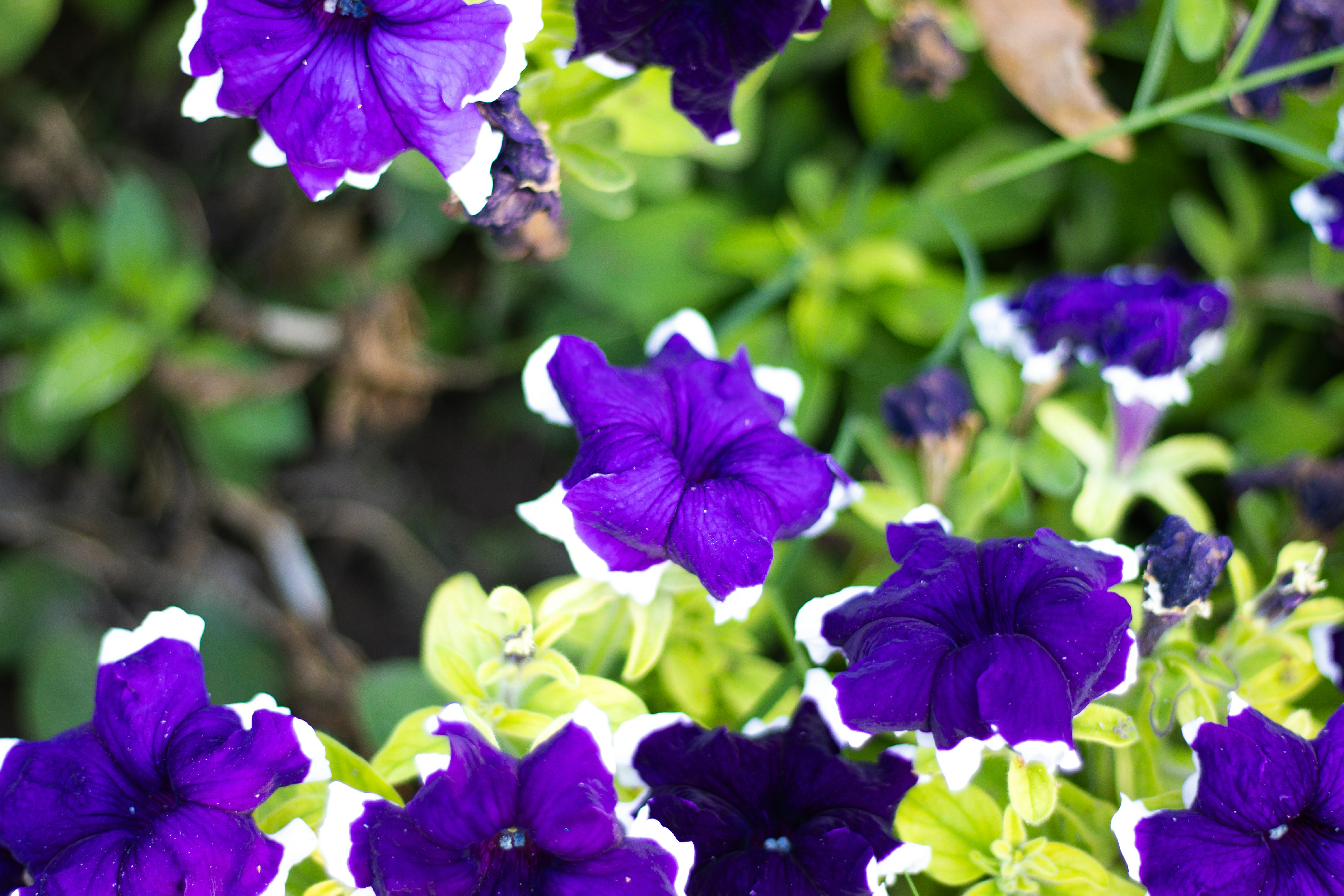 Photo by akshat_jhingran