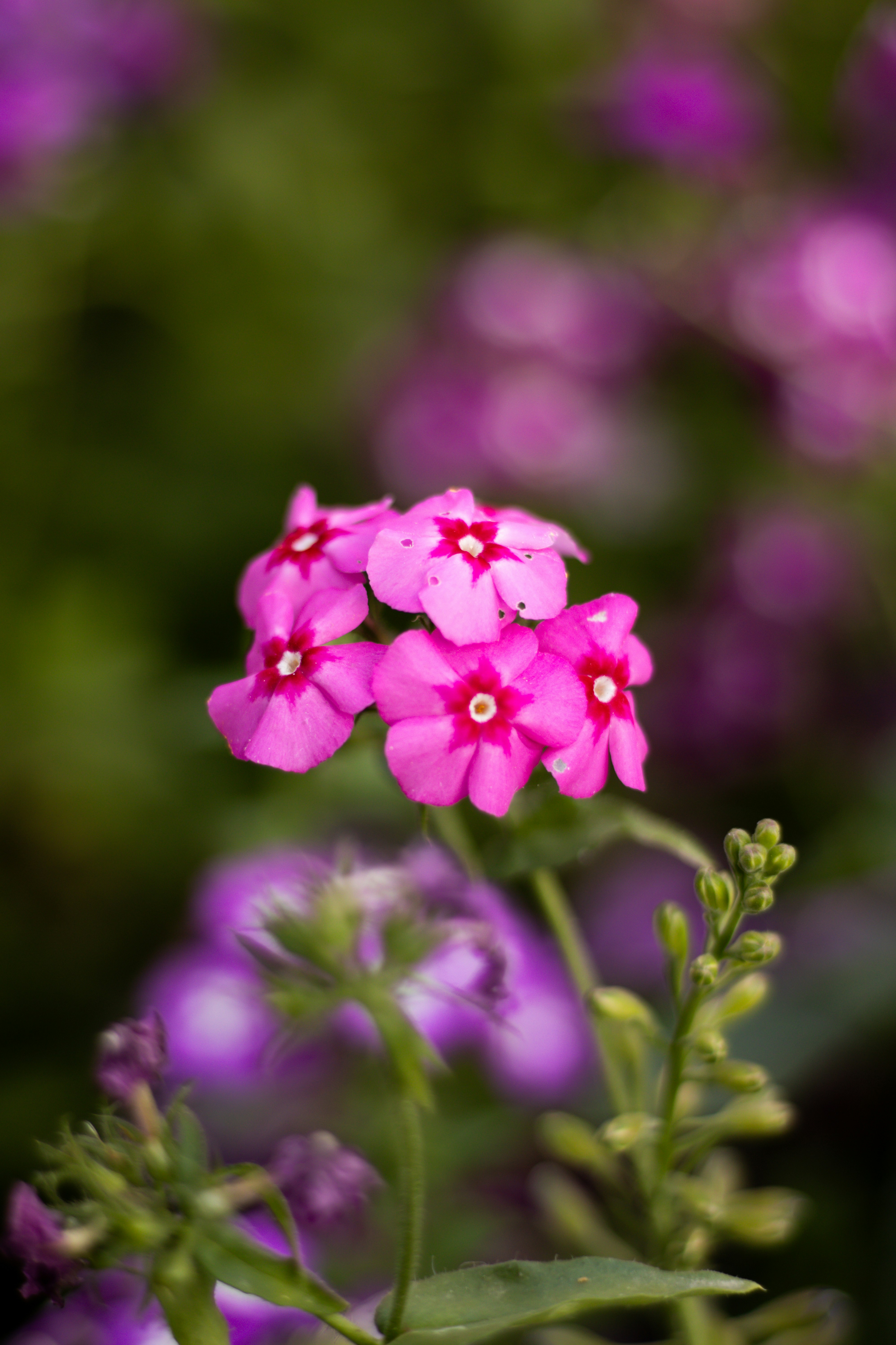 Photo by akshat_jhingran