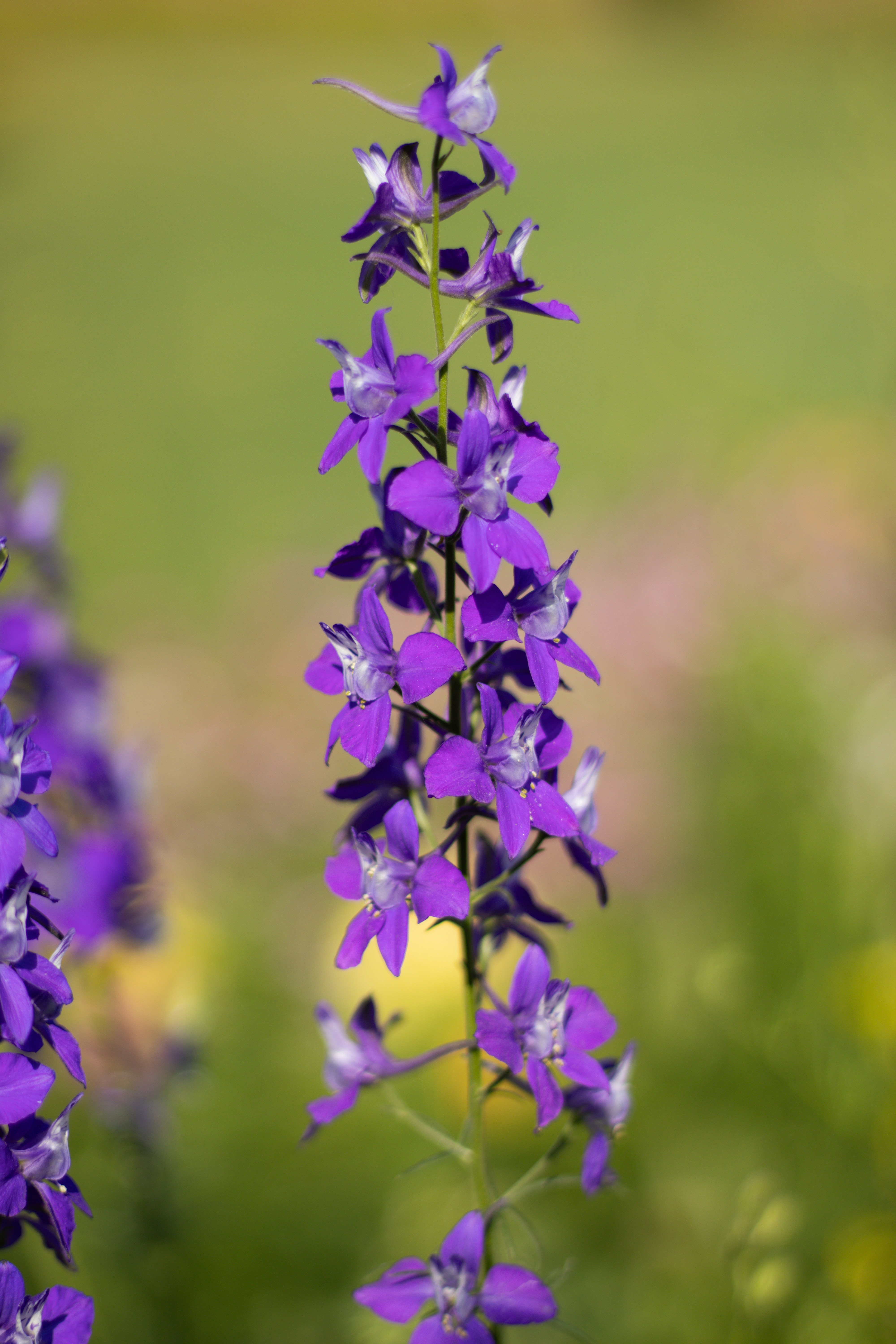 Photo by akshat_jhingran