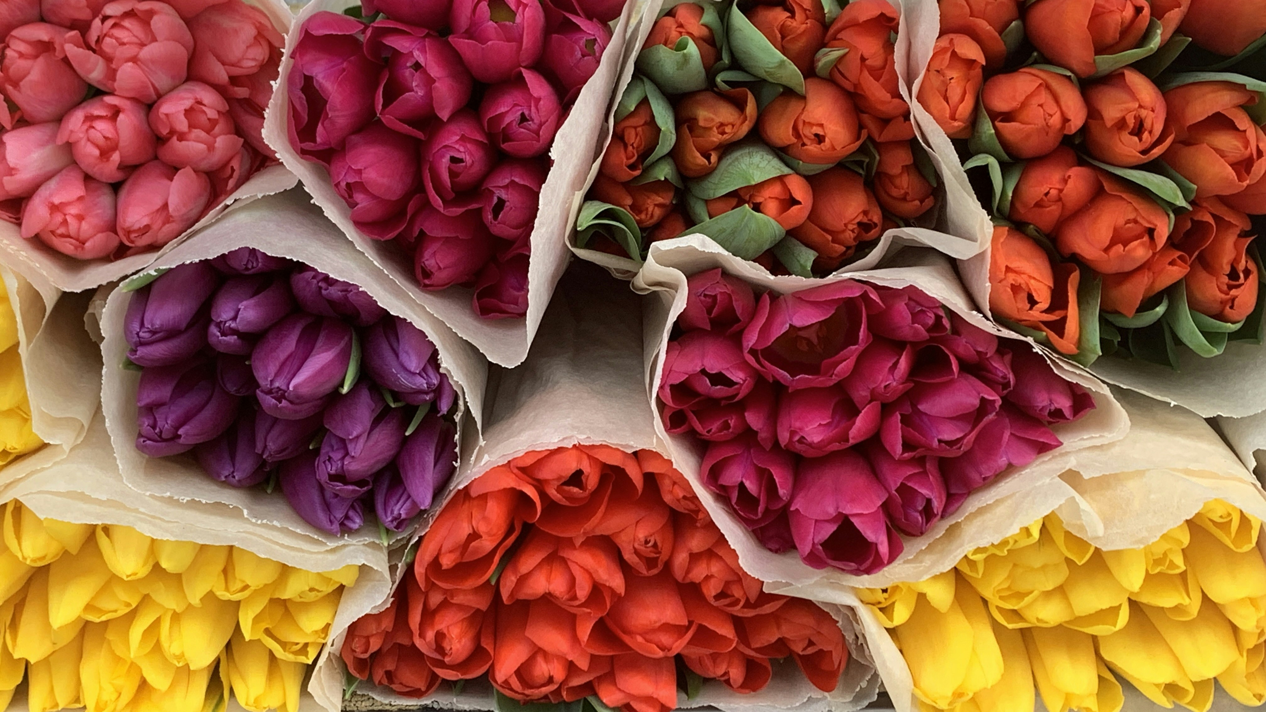 Photo by dareartworks