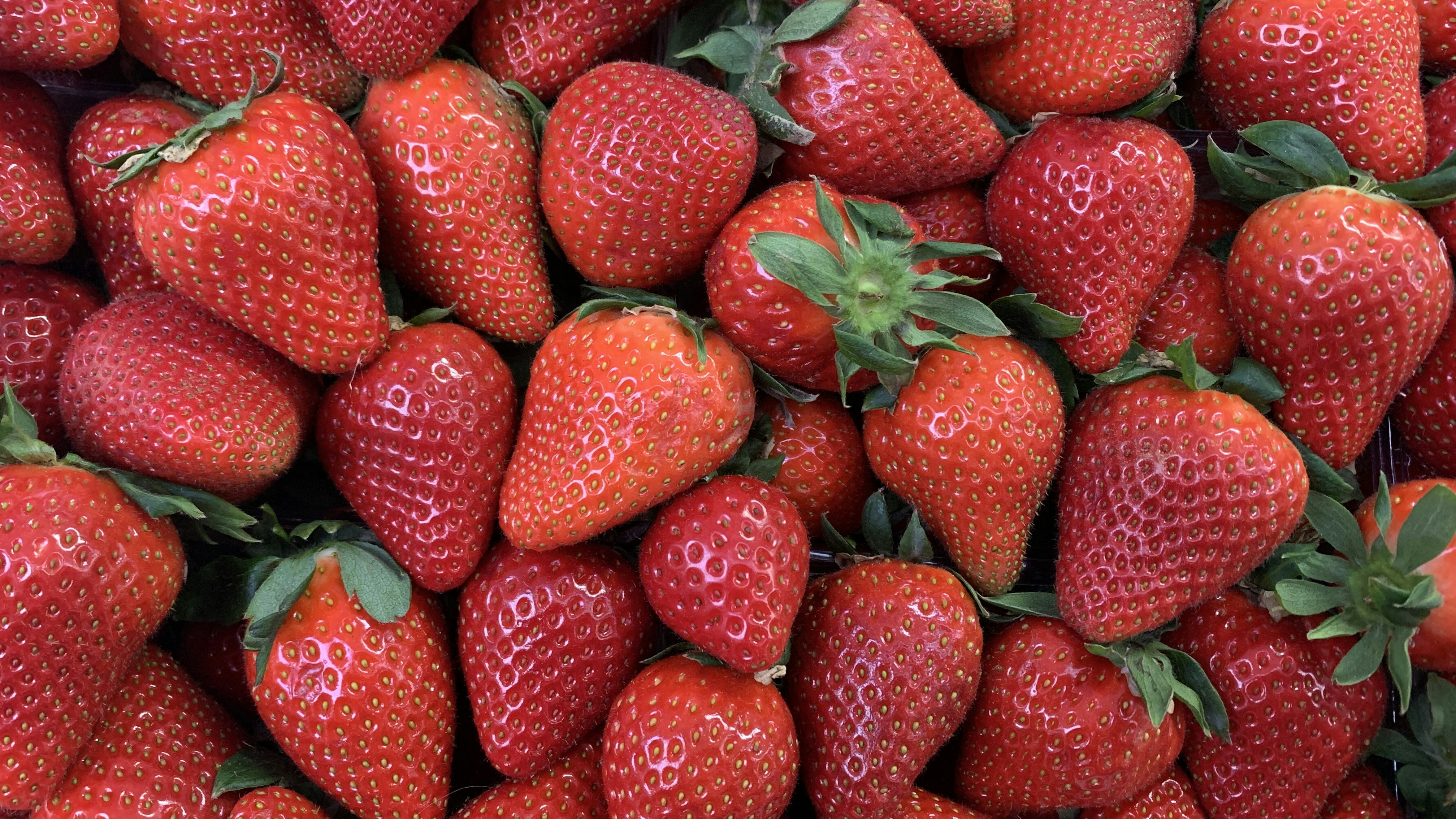 Photo by dareartworks