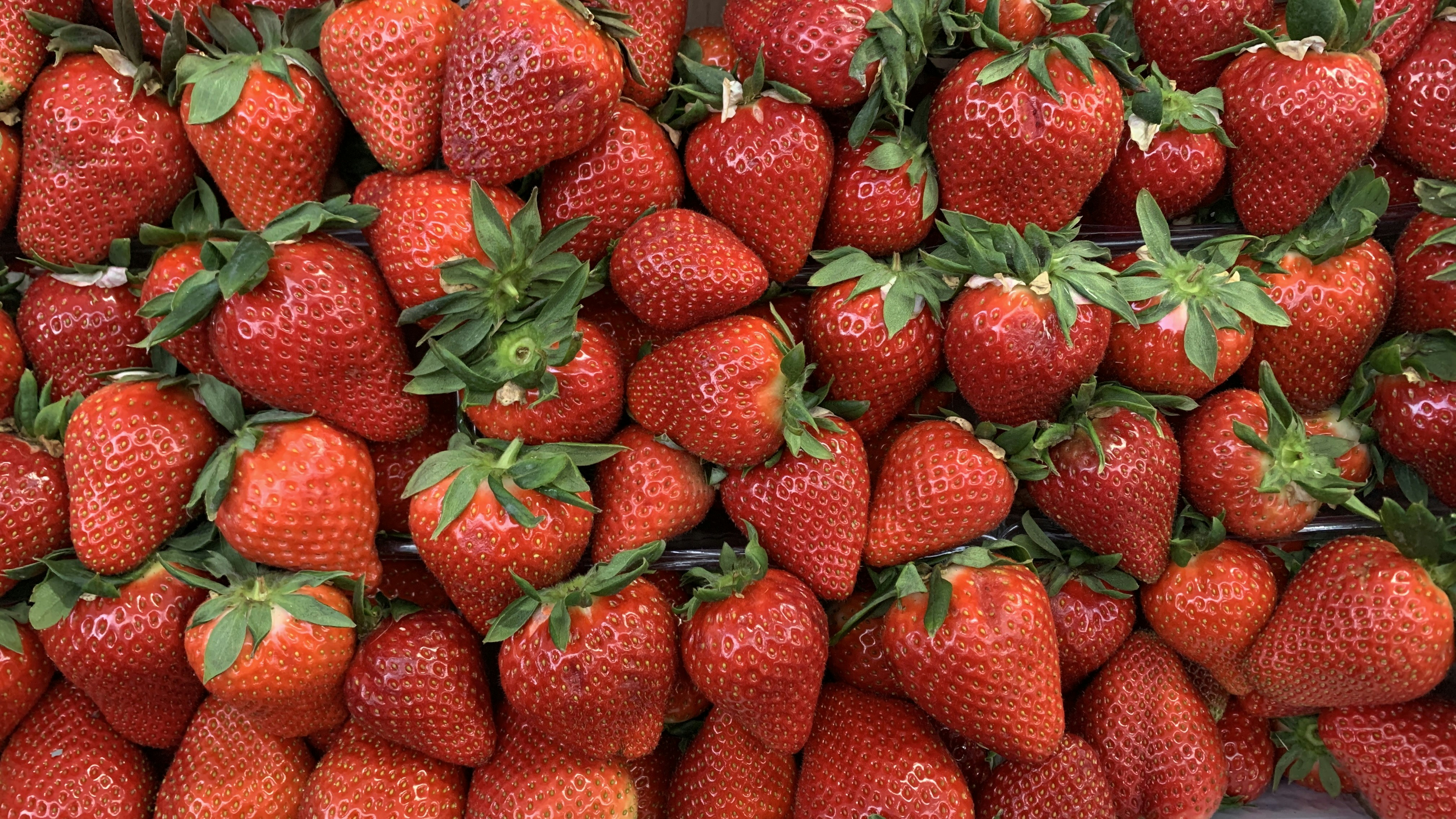 Photo by dareartworks