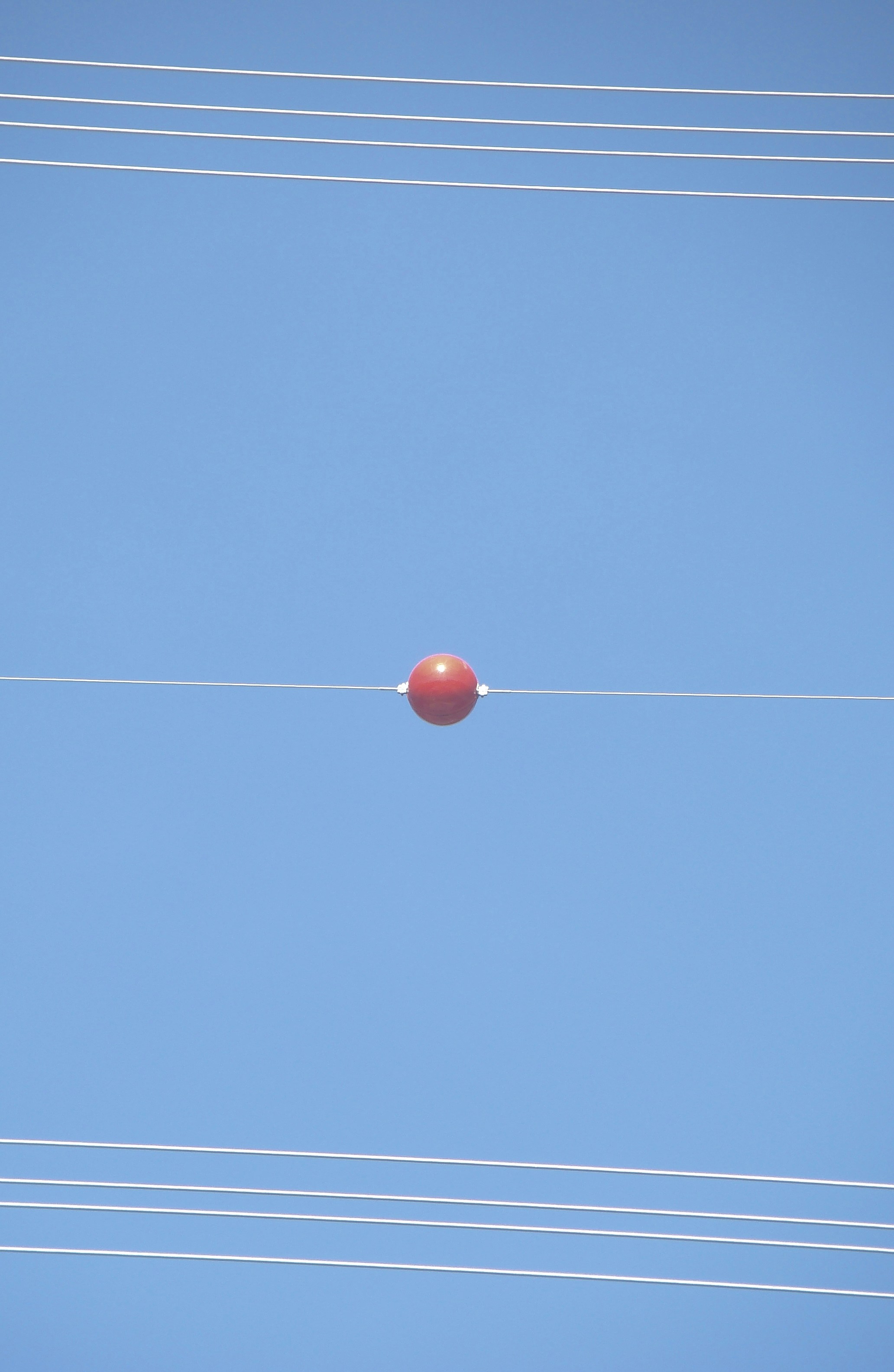 Photo by maro_of_sengu