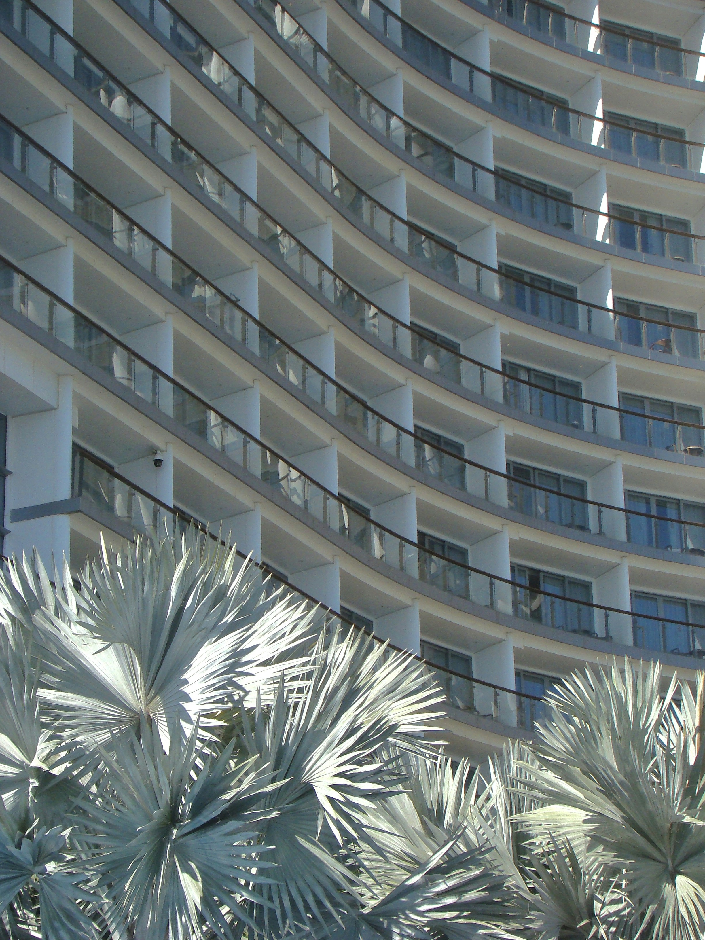 Photo by maro_of_sengu