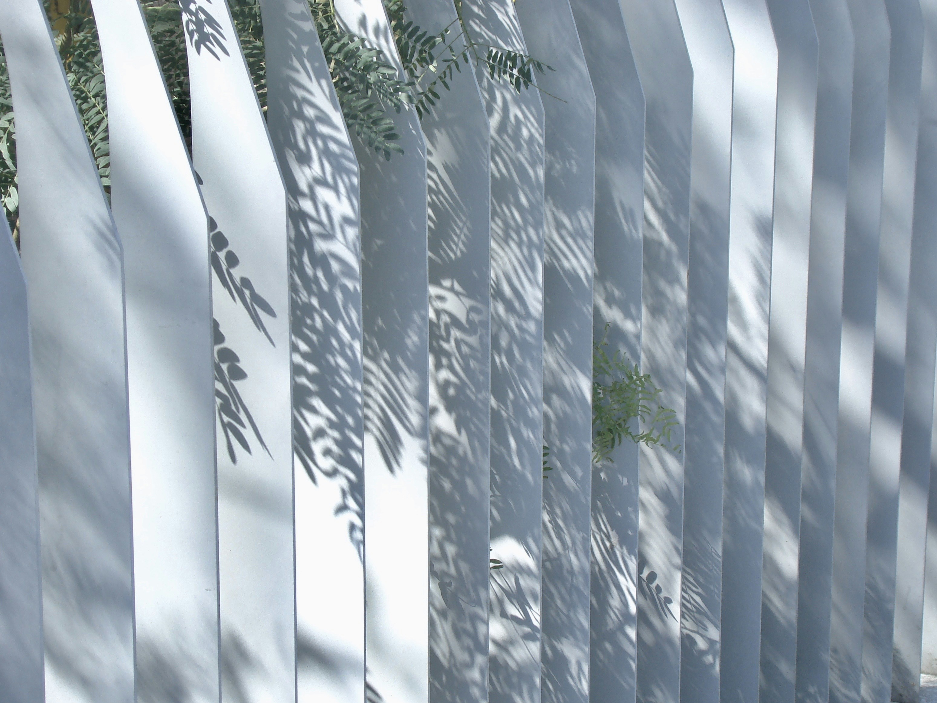 Photo by maro_of_sengu