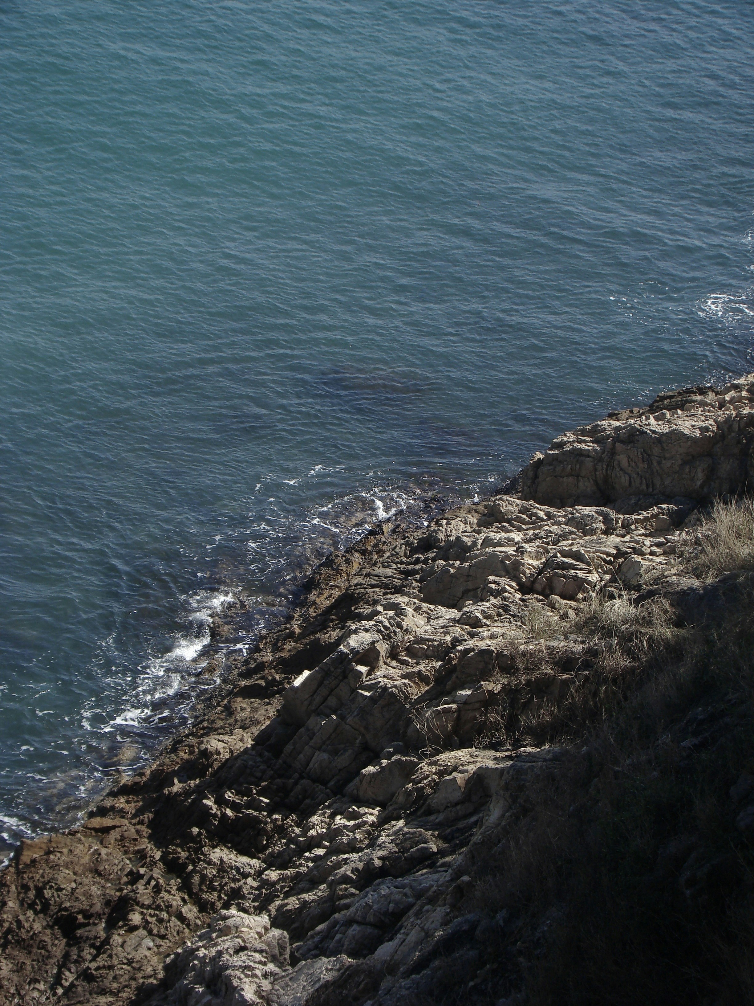 Photo by maro_of_sengu