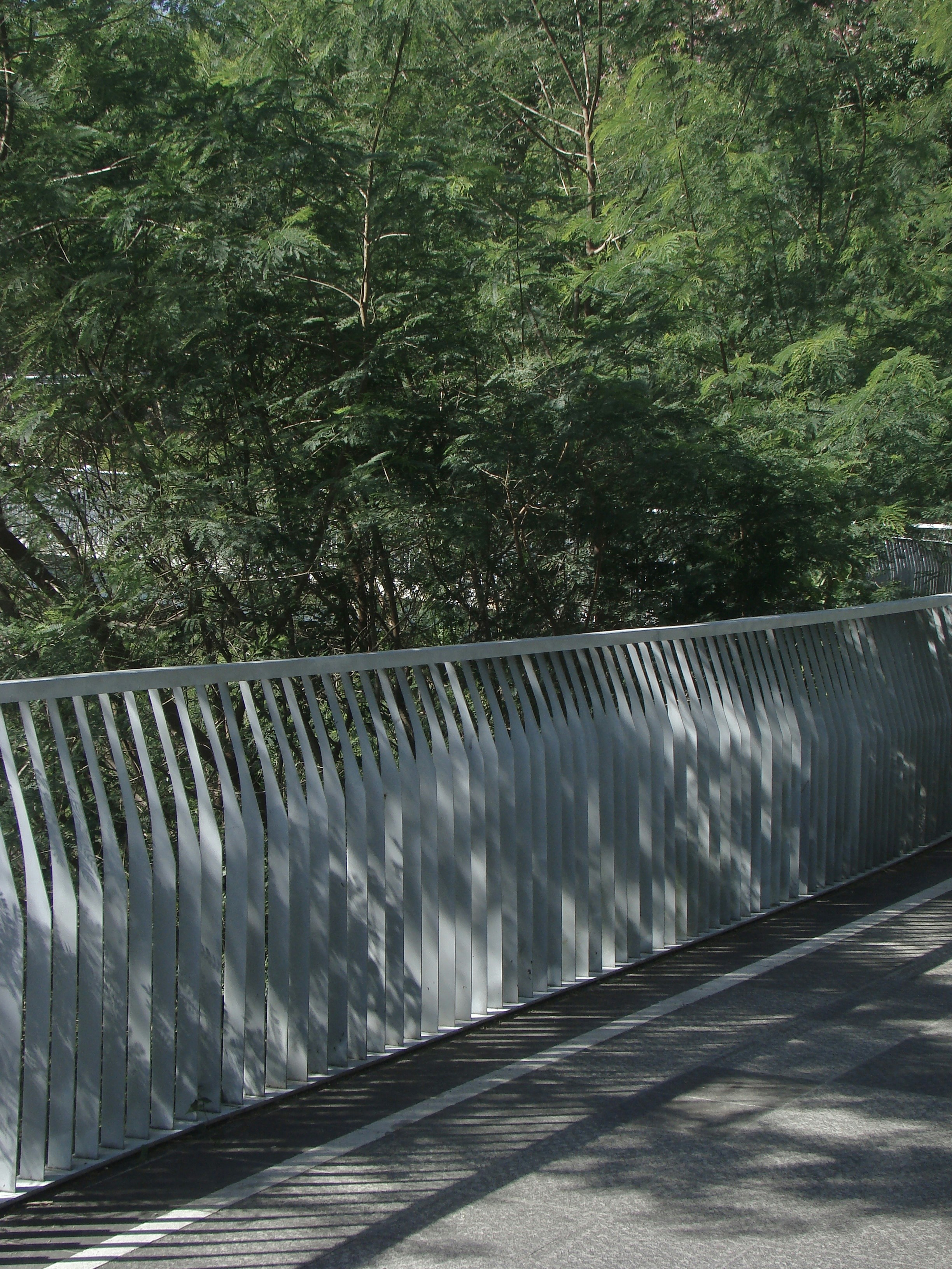 Photo by maro_of_sengu