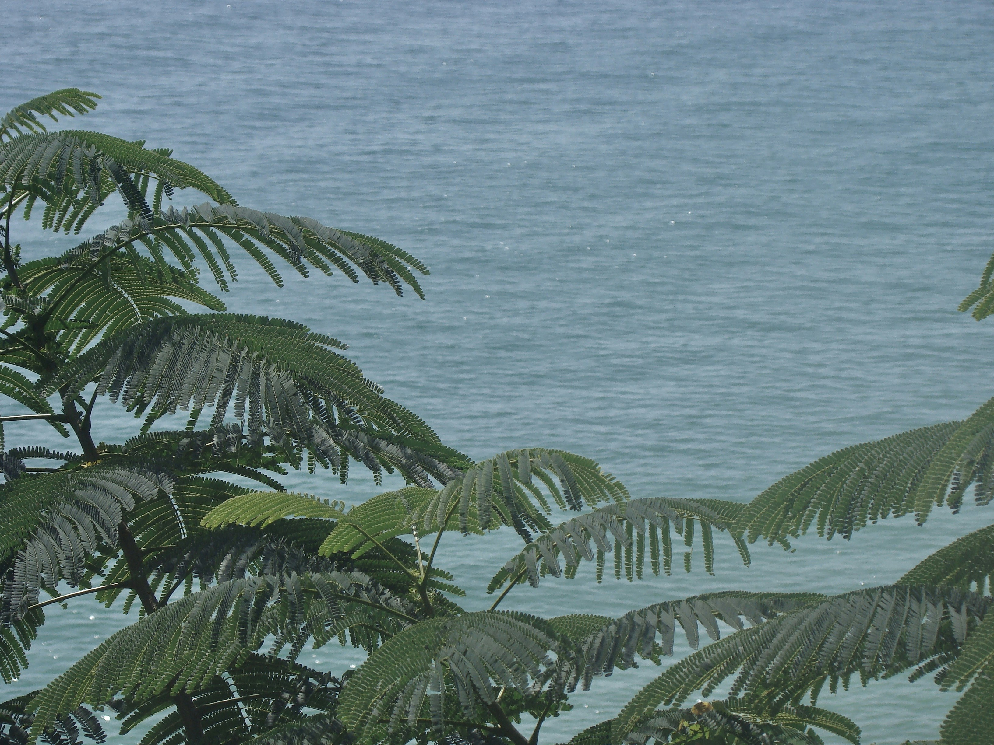 Photo by maro_of_sengu