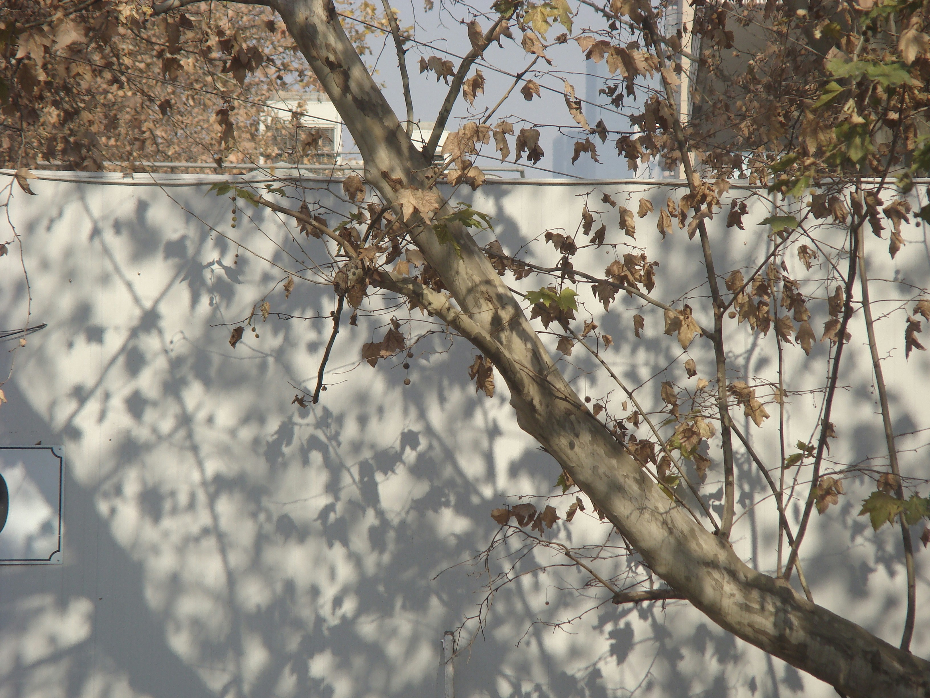 Photo by maro_of_sengu