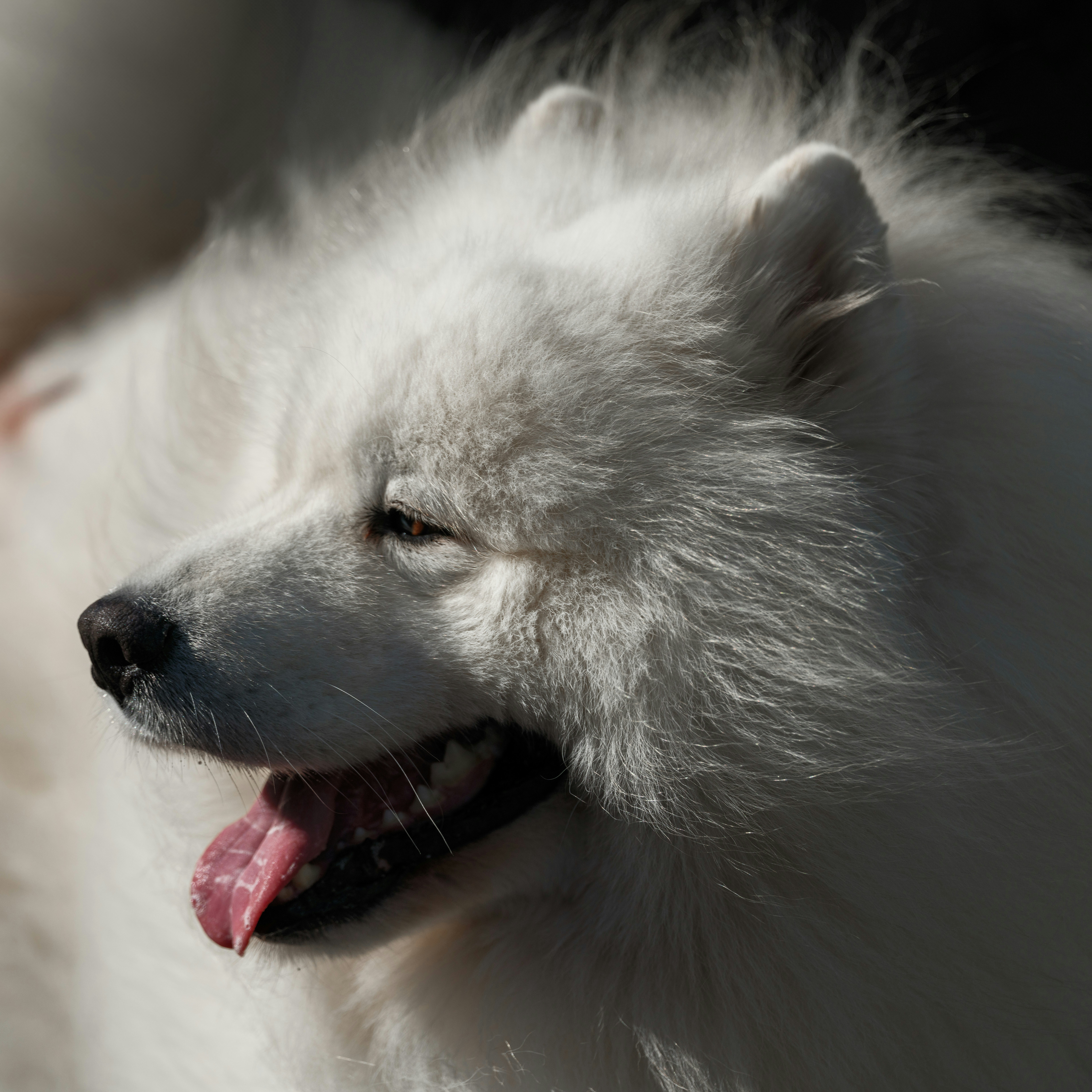 Photo by haberdoedas