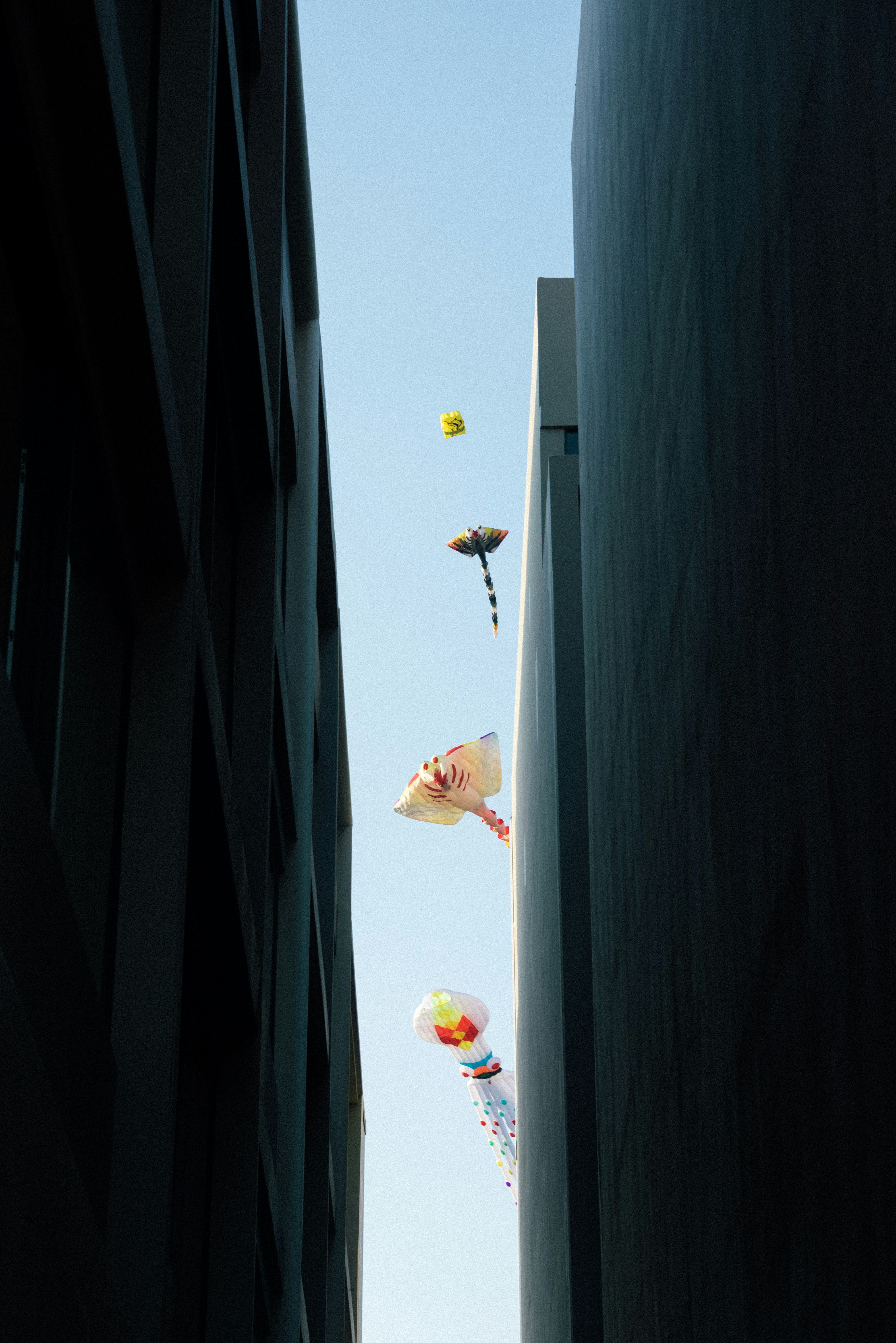 Las cometas vuelan entre dos edificios.