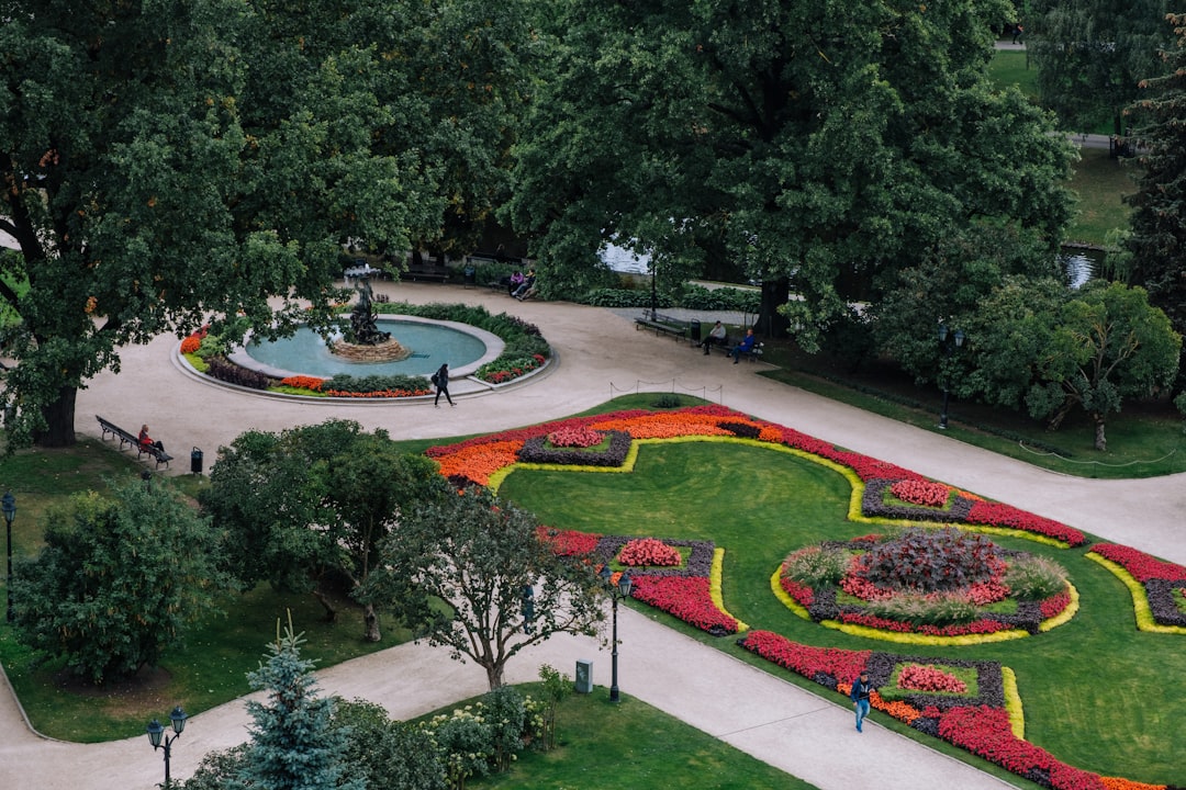 A lush park has a colorful floral display.