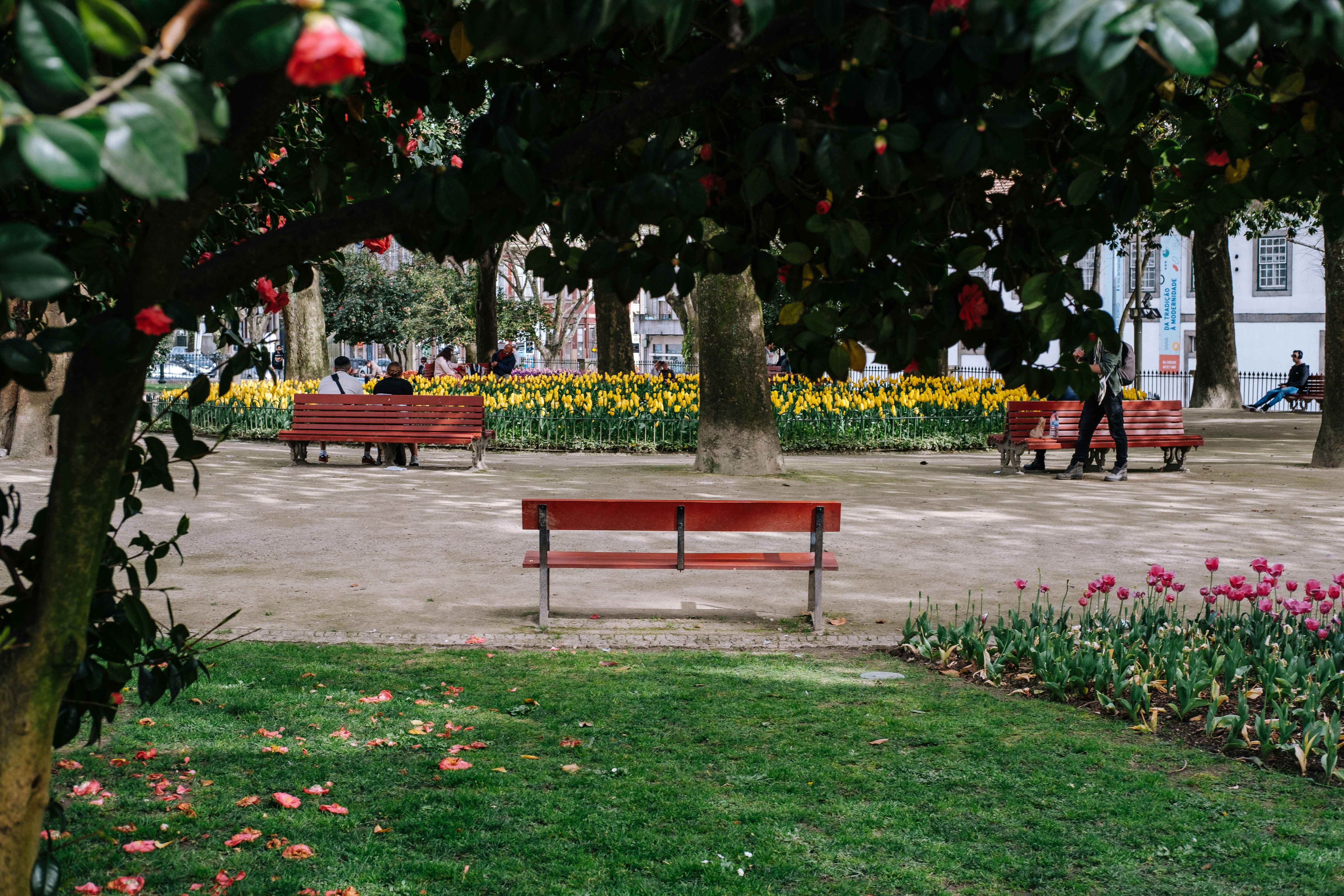 A park with flower beds and empty benches.