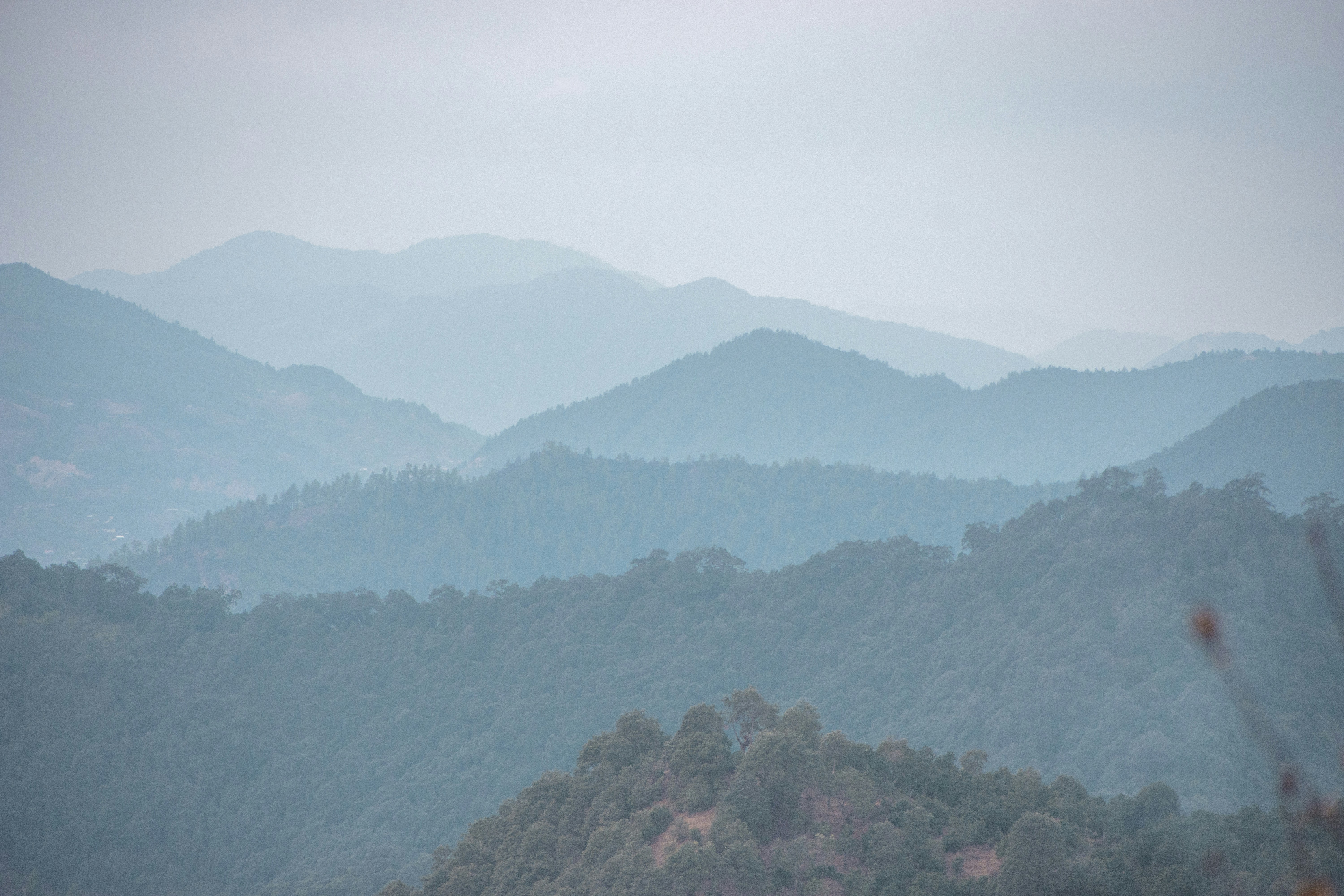 Photo by sanjeev_shakya