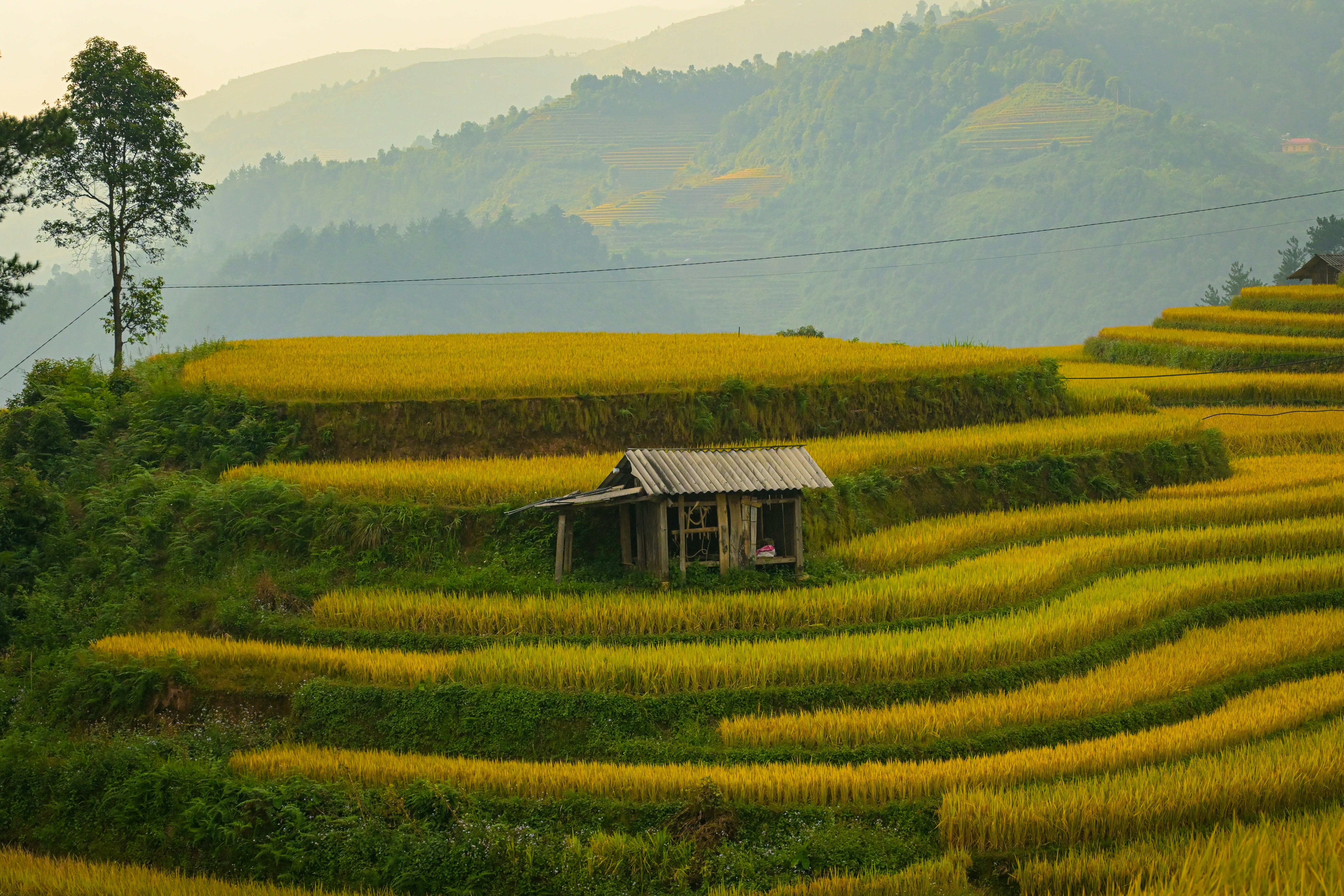 Photo by jordannguyen