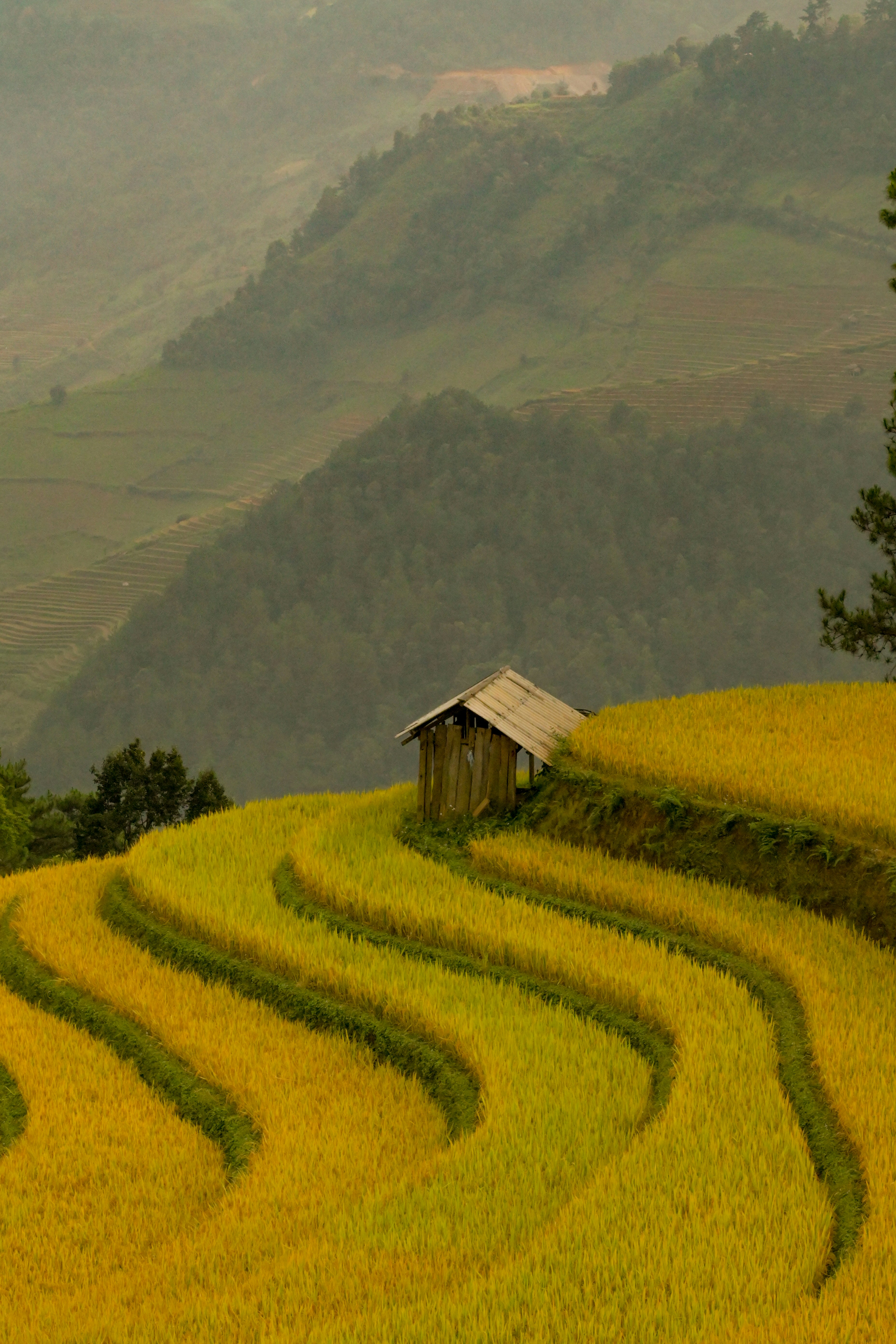 Photo by jordannguyen