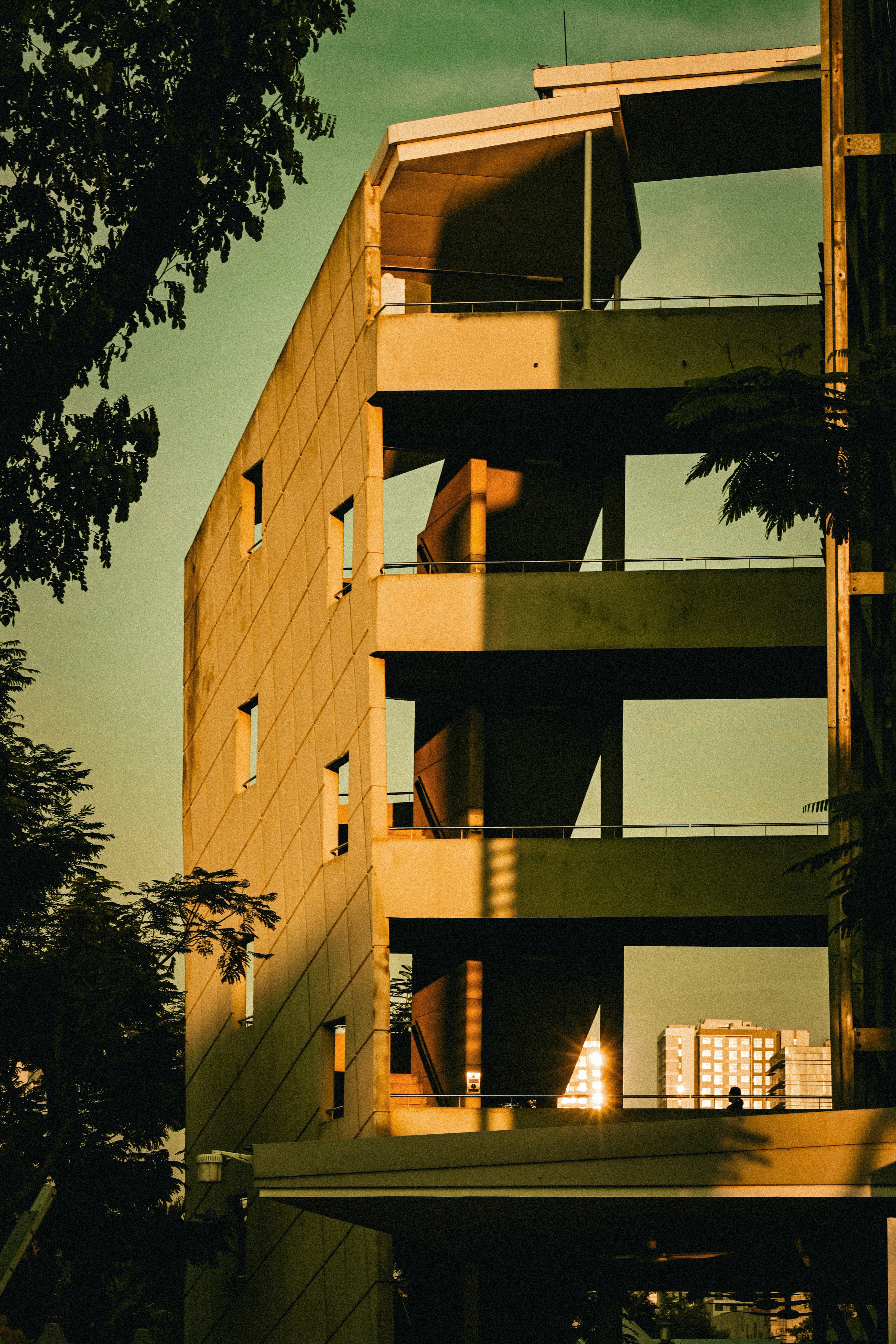 Photo by jordannguyen