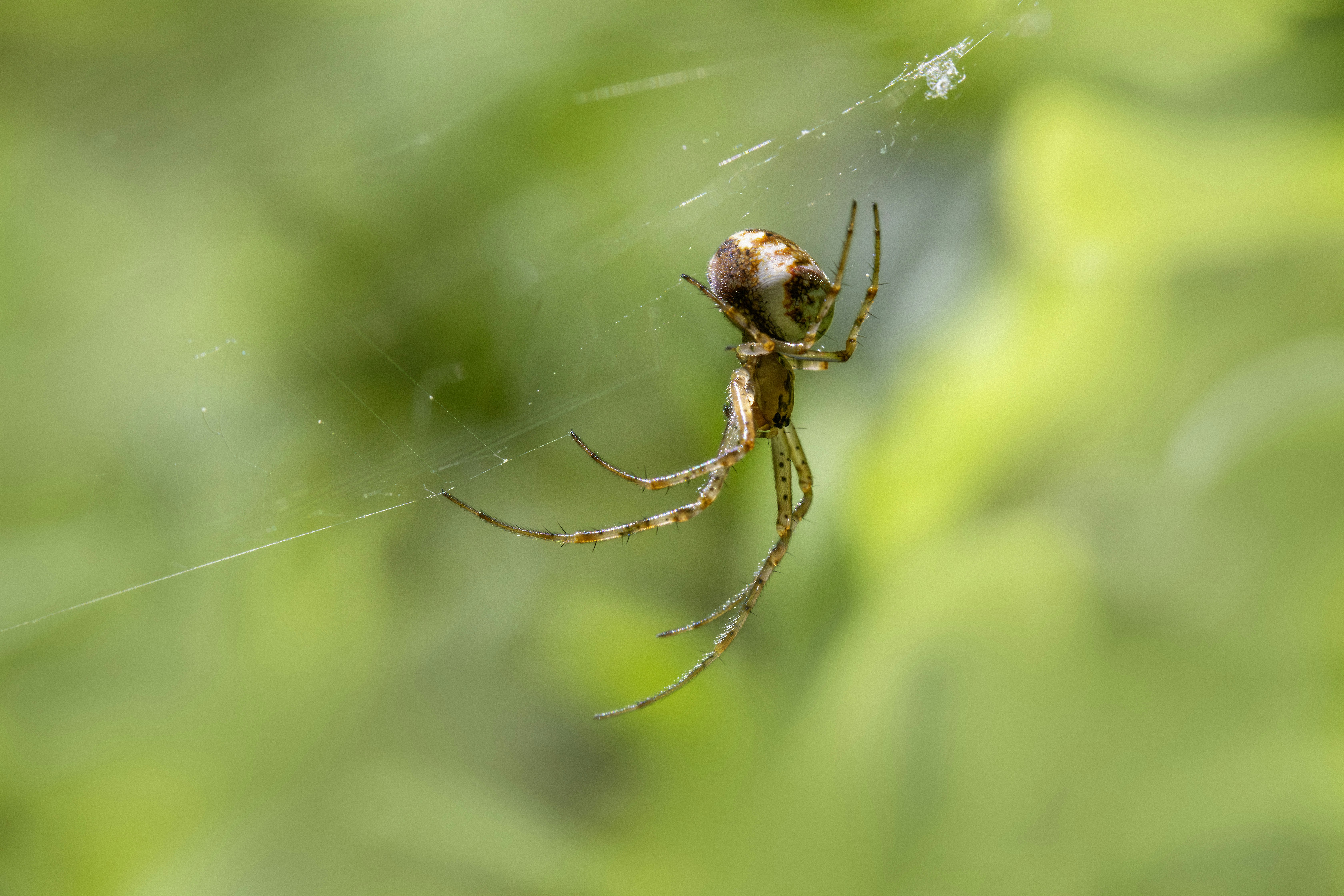 Photo by erik_karits