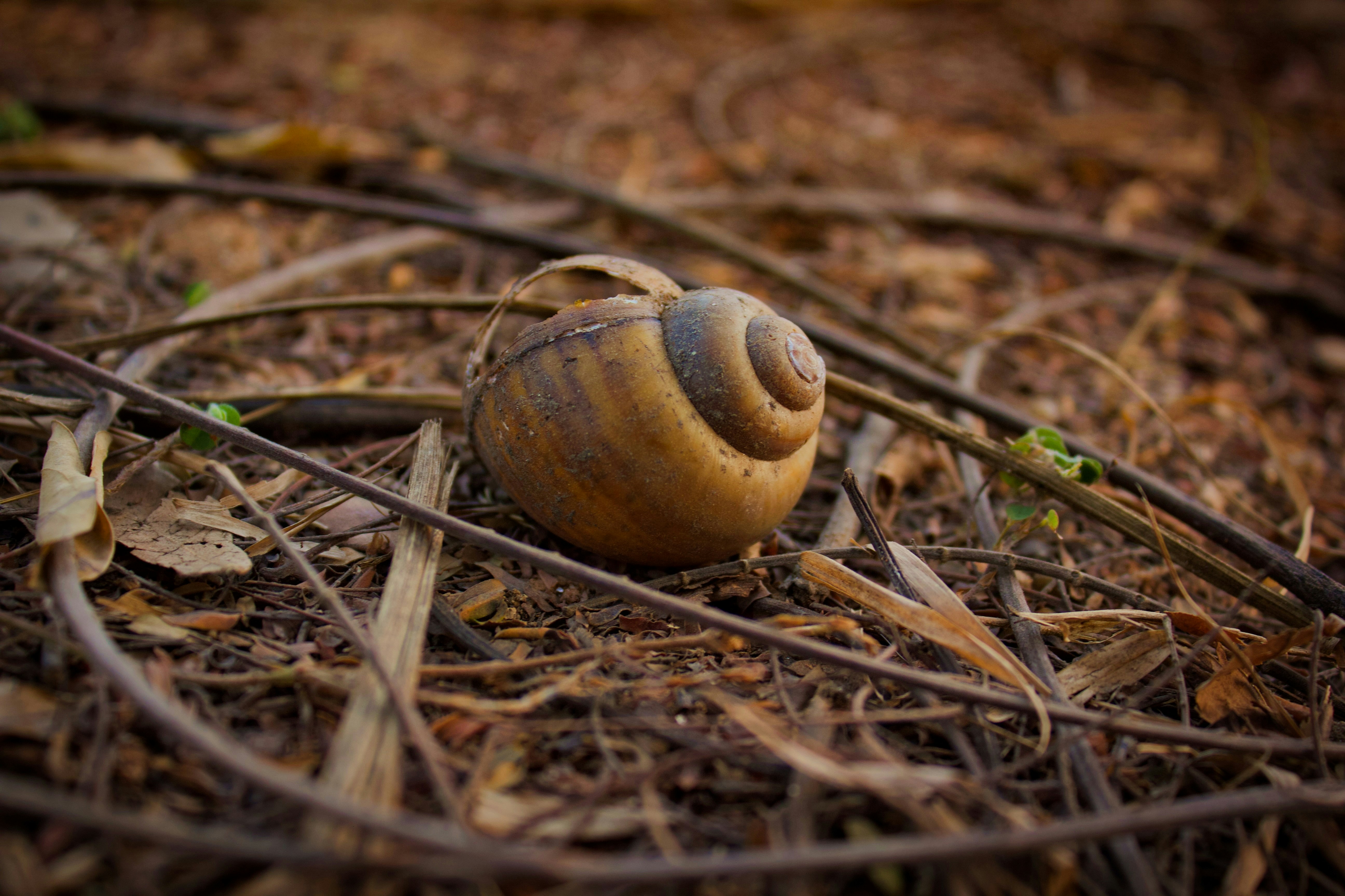 Photo by that_bored_beast