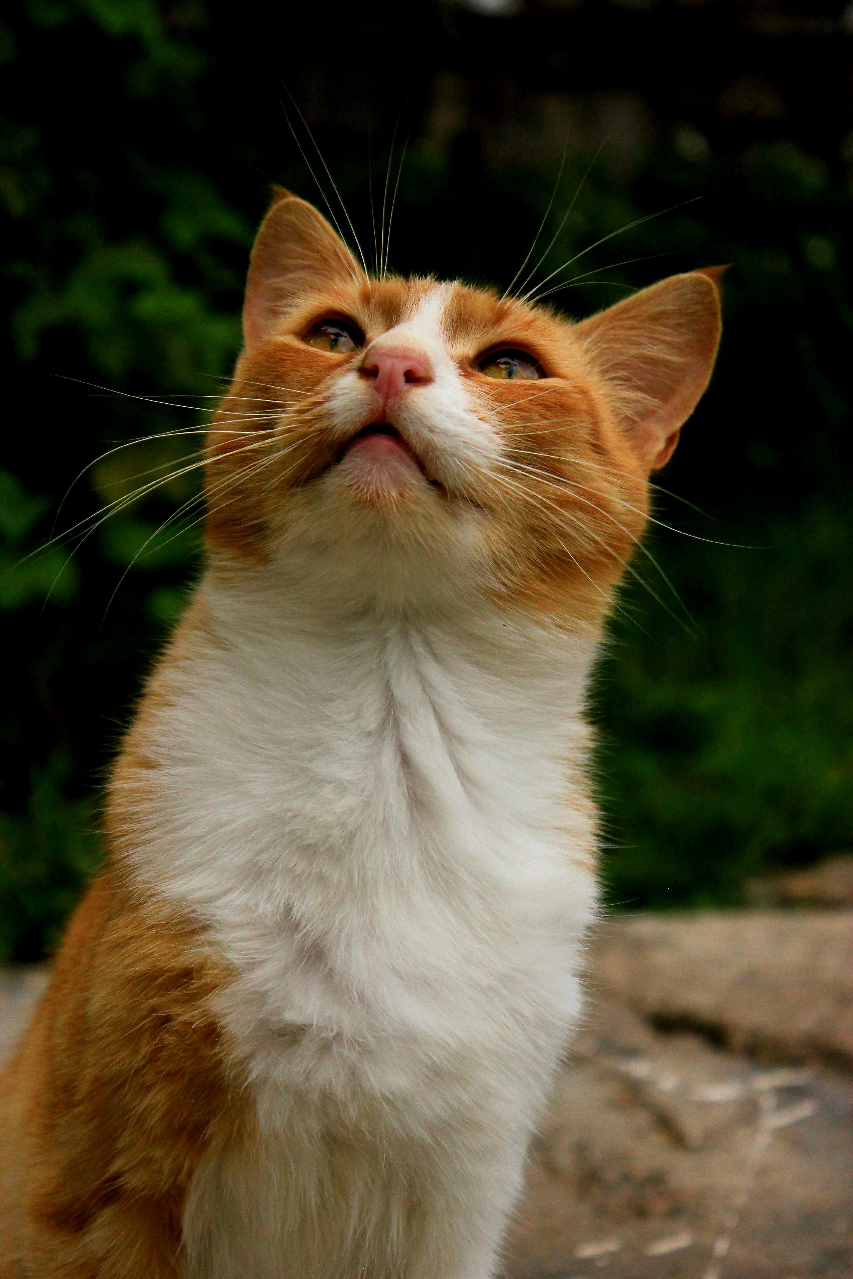 Photo by _ruslangordienko_