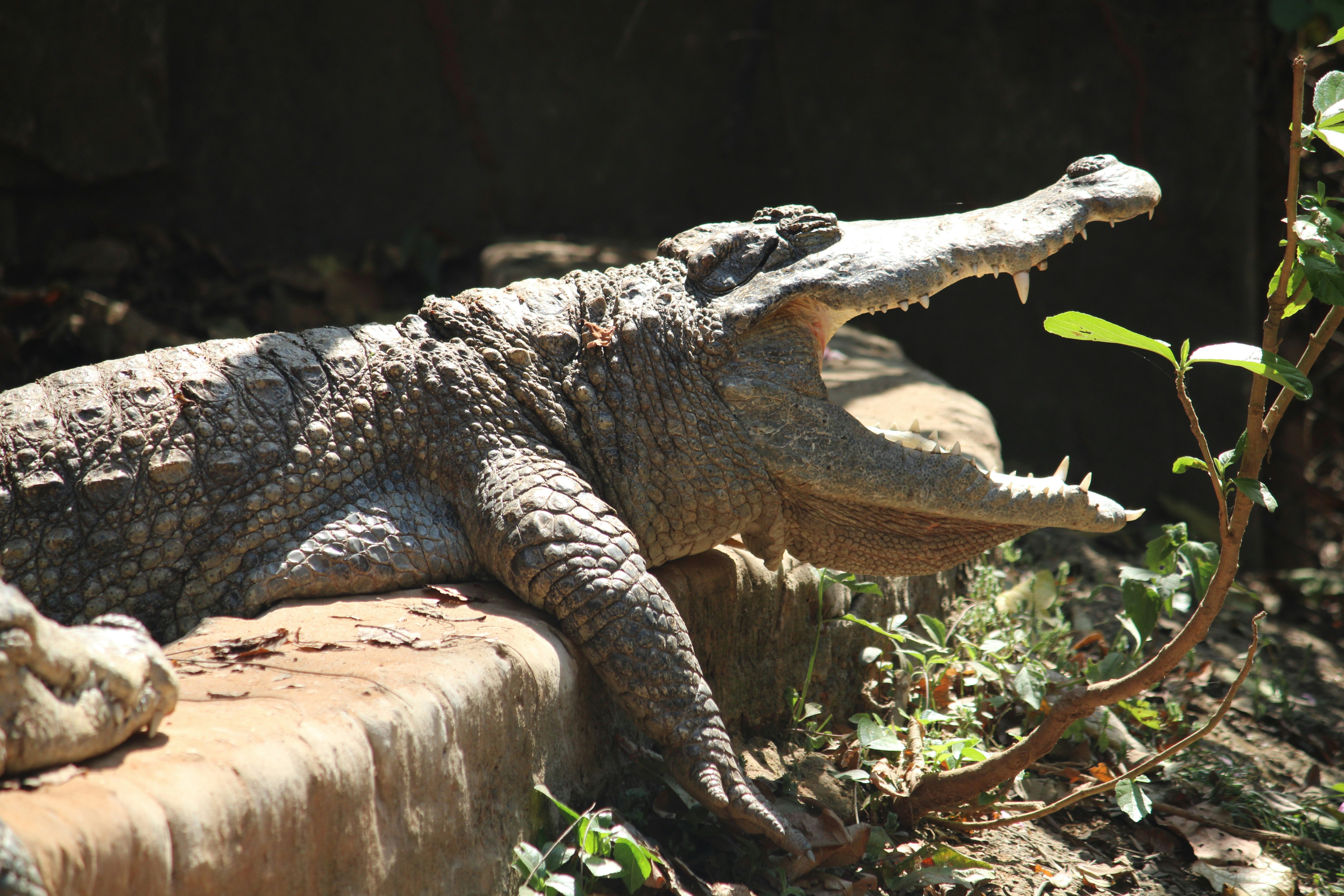 Photo by p_photography