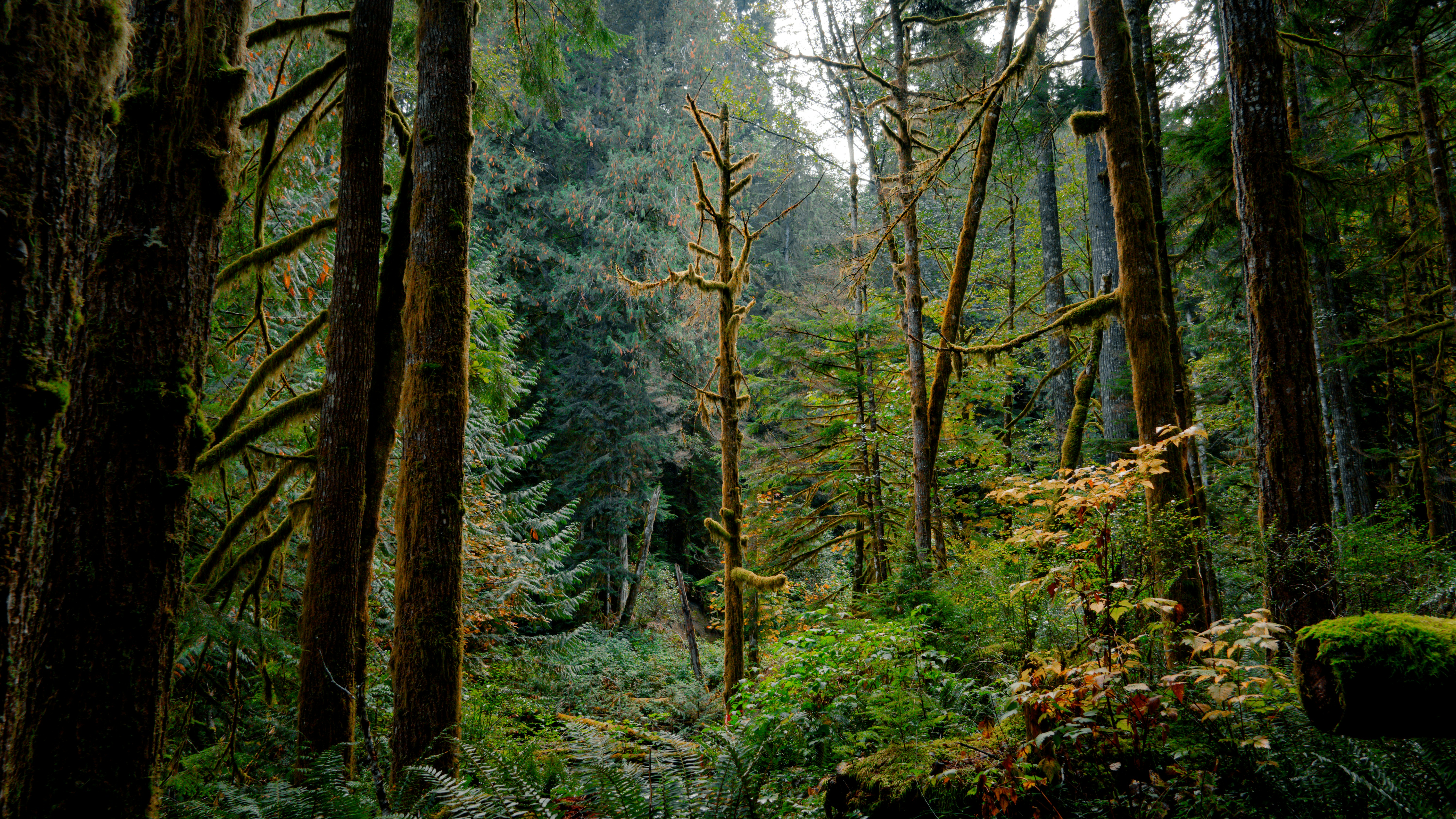 Photo by acinematics