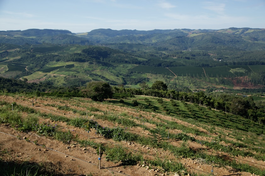 Green hills and fields under a bright blue sky.