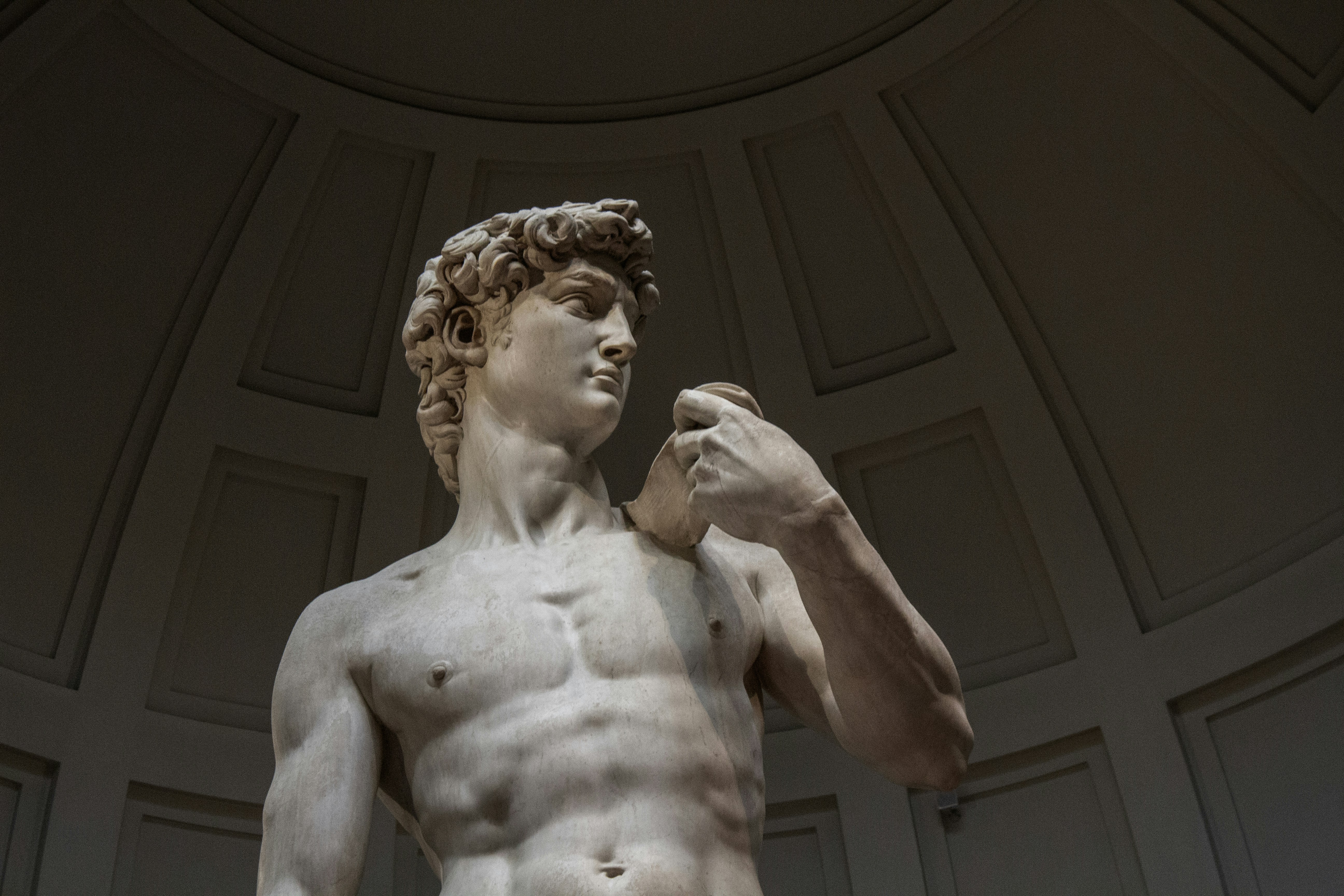 Michelangelo's David in Galleria dell'Accademia