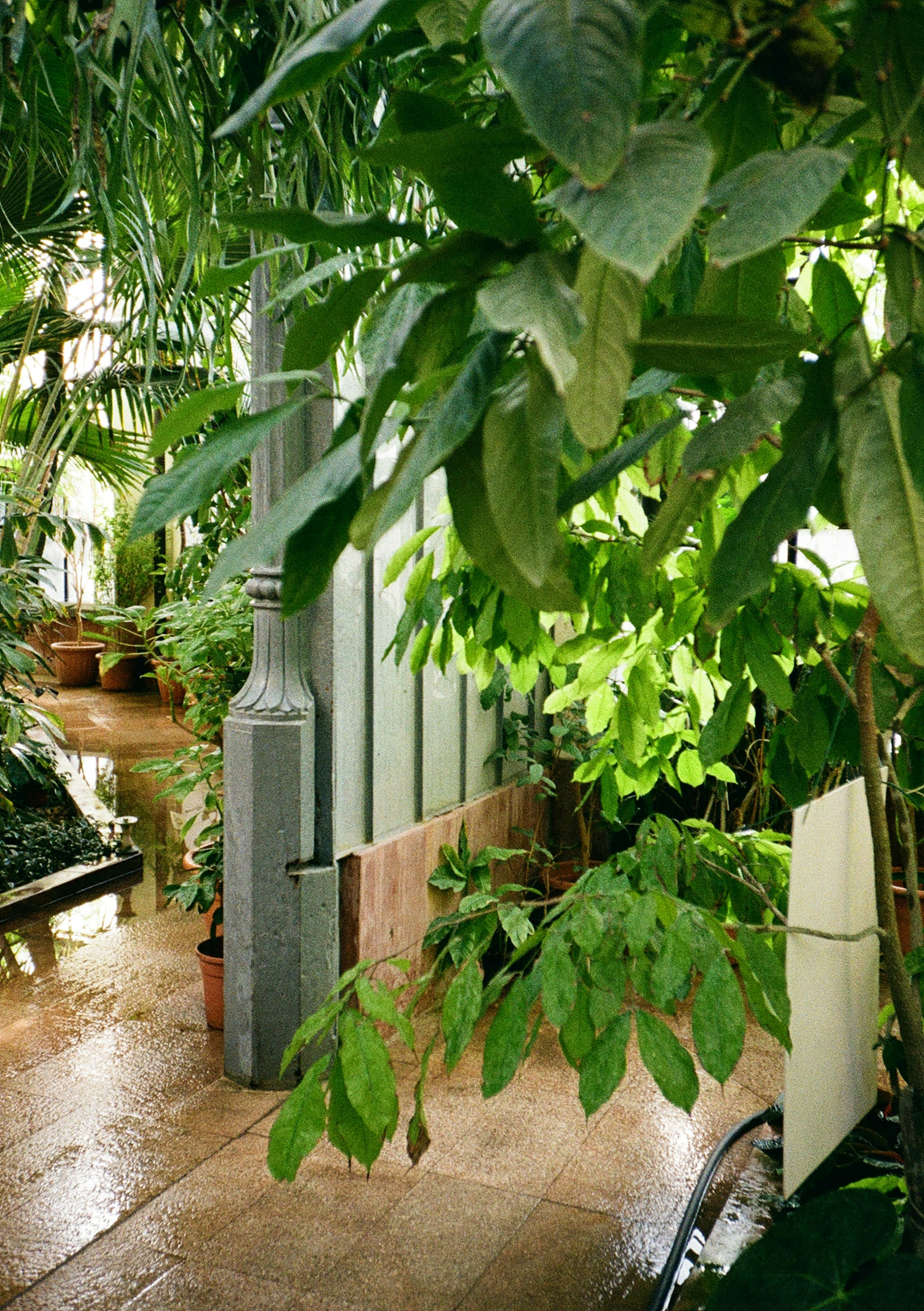 photo-1742321162320-f5e5a1c9ea48?ixid=M3wxMjA3fDB8MXxzZWFyY2h8MTZ8fGNvY28lMjBjb2lyJTIwZm9yJTIwaHlkcm9wb25pY3N8ZW58MHx8fHwxNzY3MzI2MzQ3fDA\u0026ixlib=rb-4.1.0