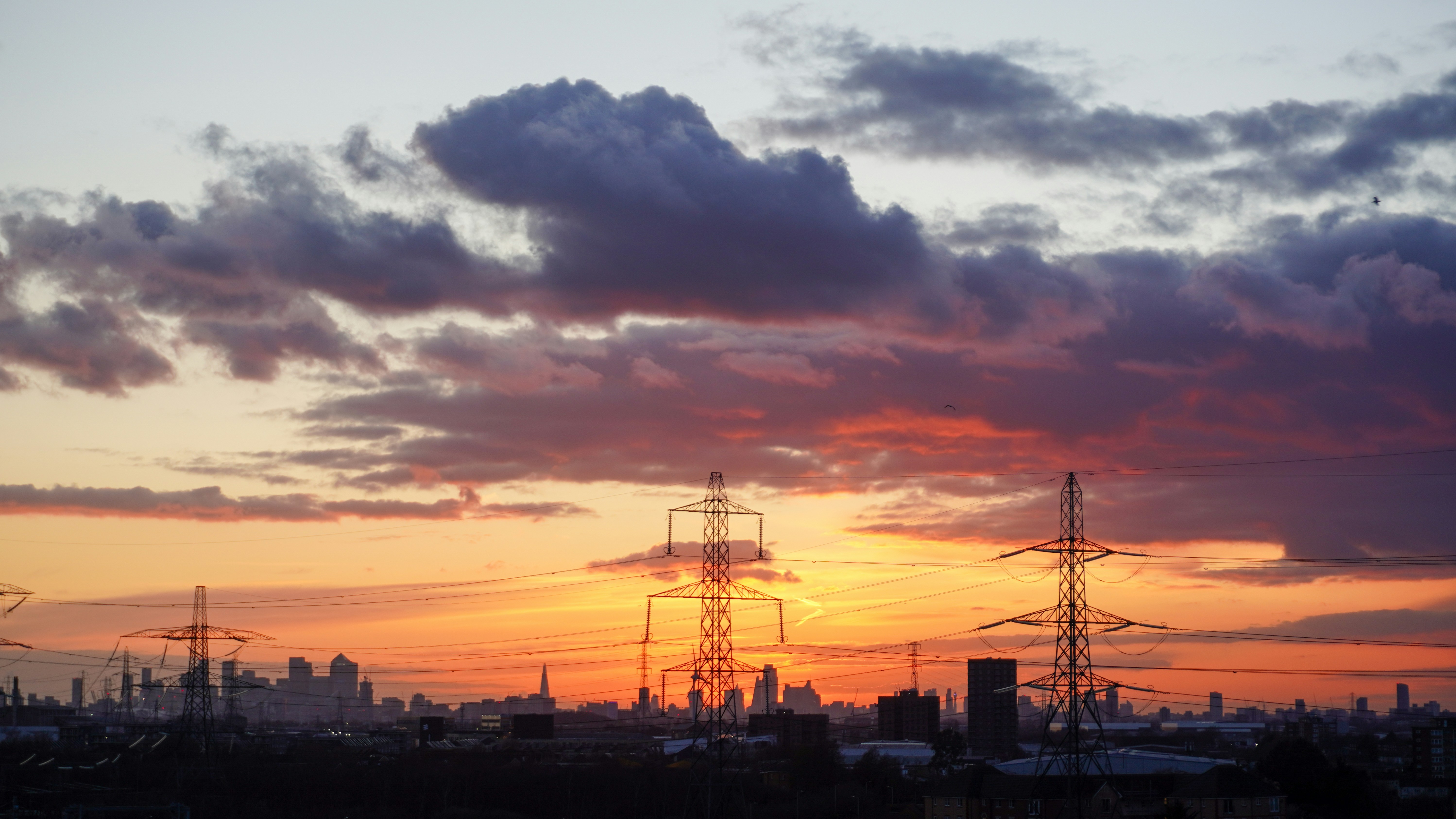 Unleashing the Secrets: Understanding the Cane Corso's Barking