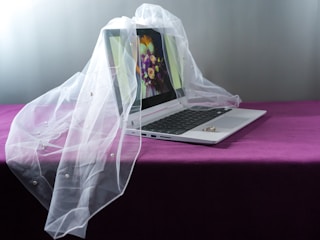 A laptop wears a wedding veil.