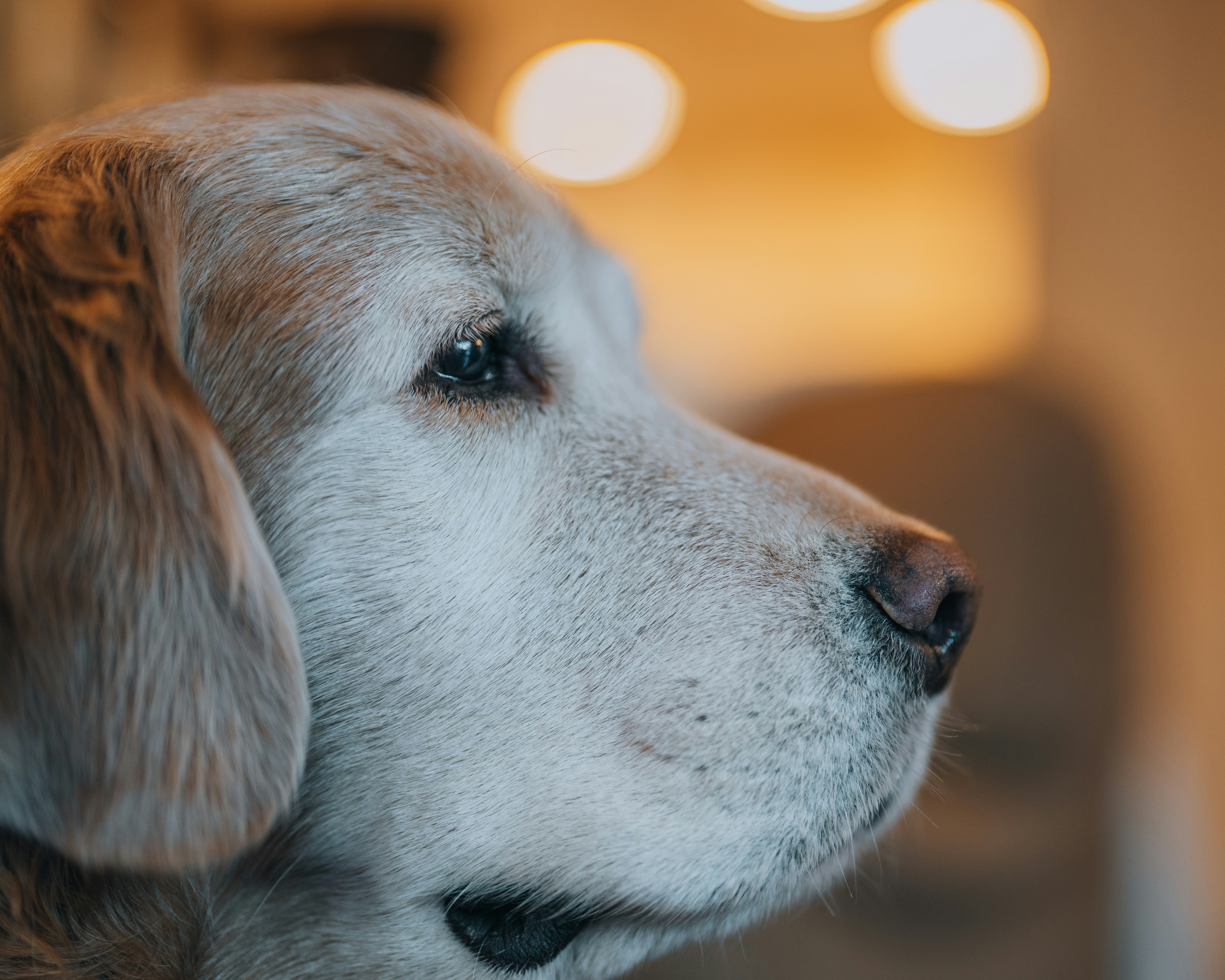 Photo by bugsandslugs