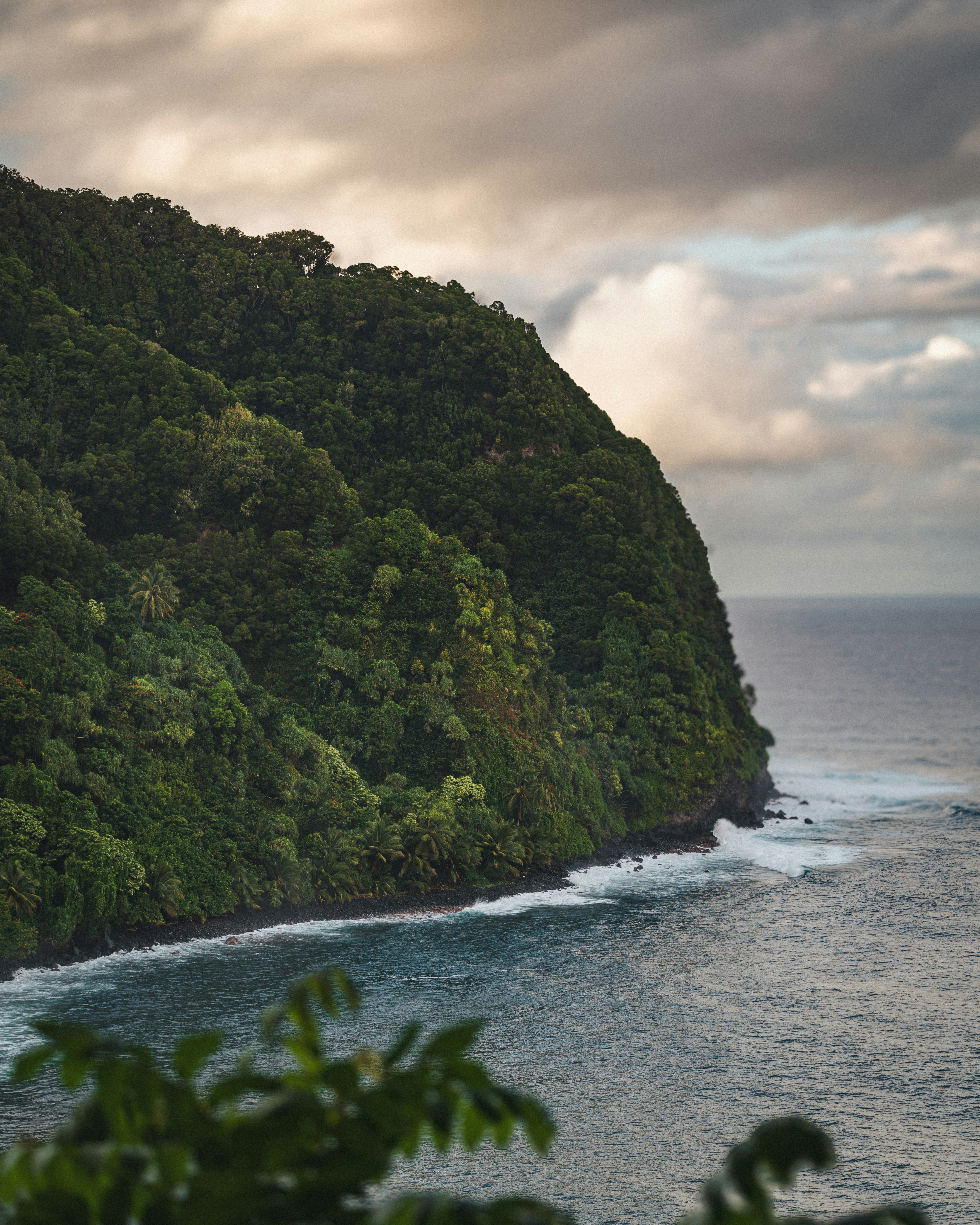 Lush green cliff meets the tranquil ocean.