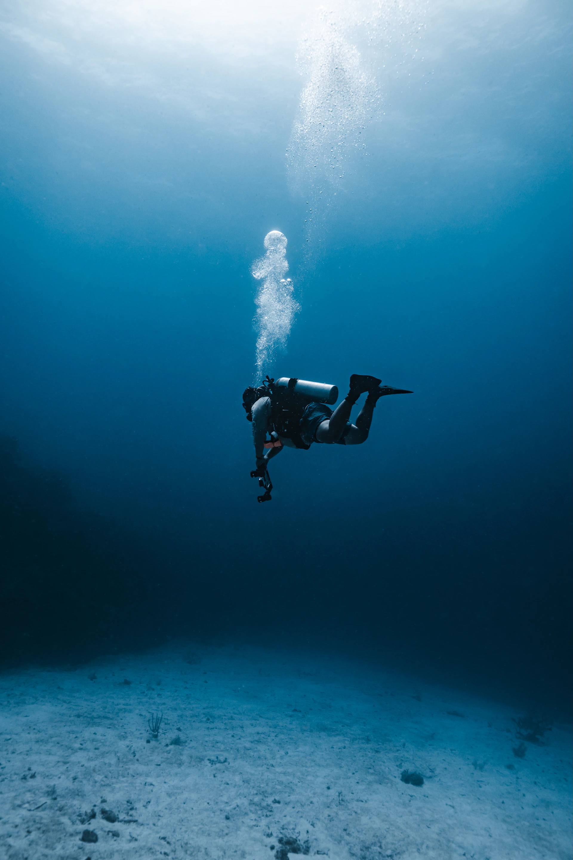 A scuba diver explores the deep blue sea