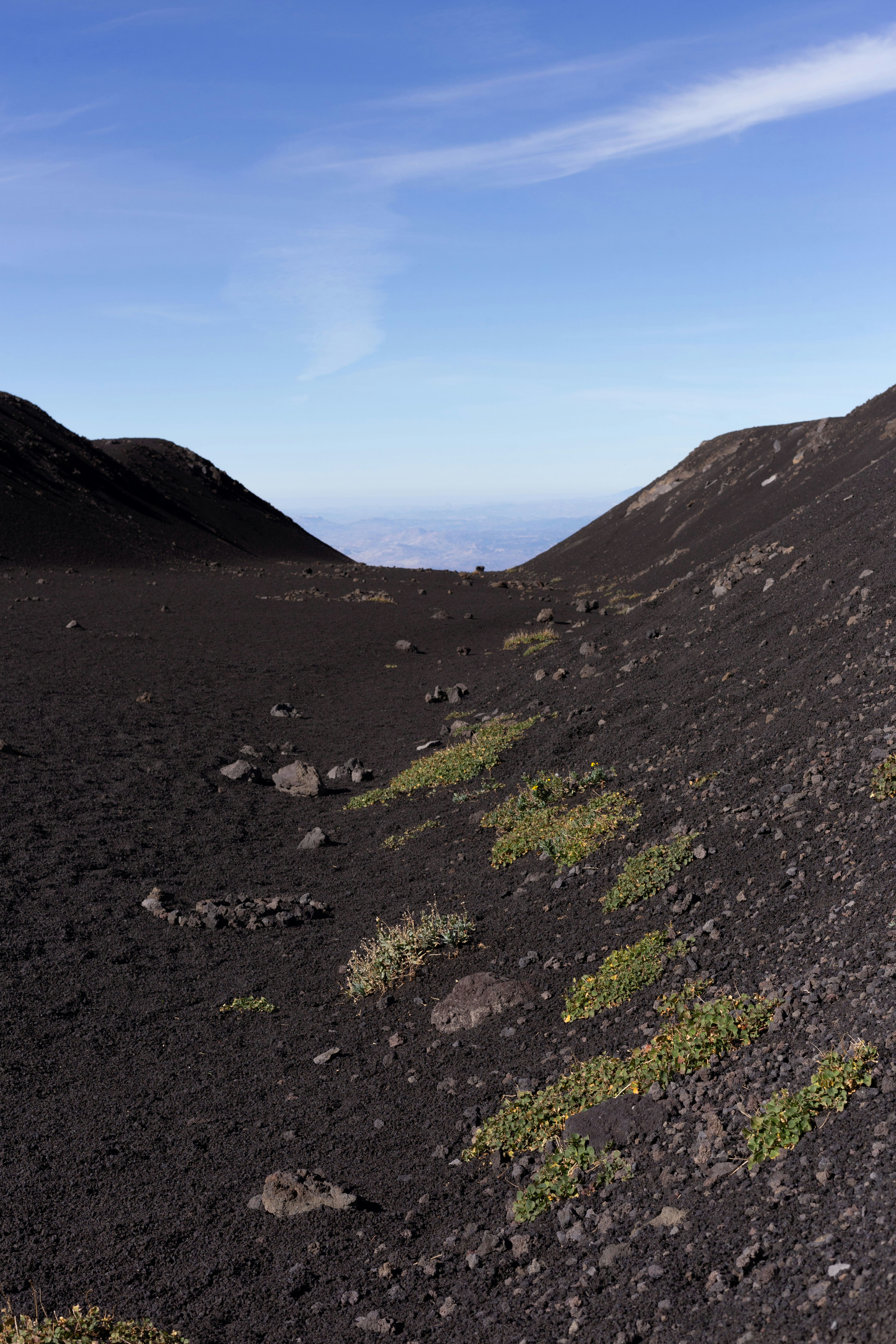 Photo by demetrakarkaveli