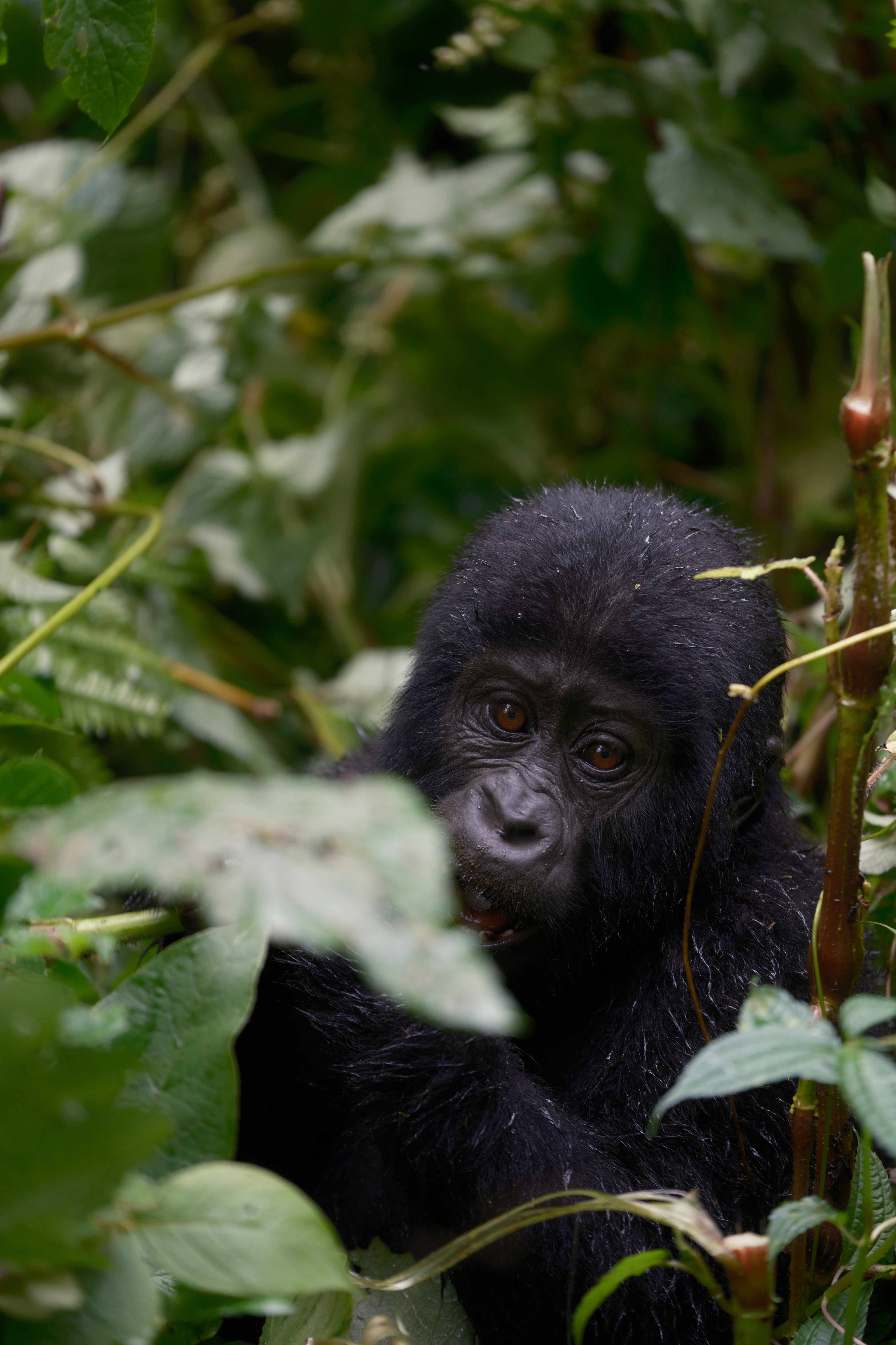 Affordable luxury travel experiences