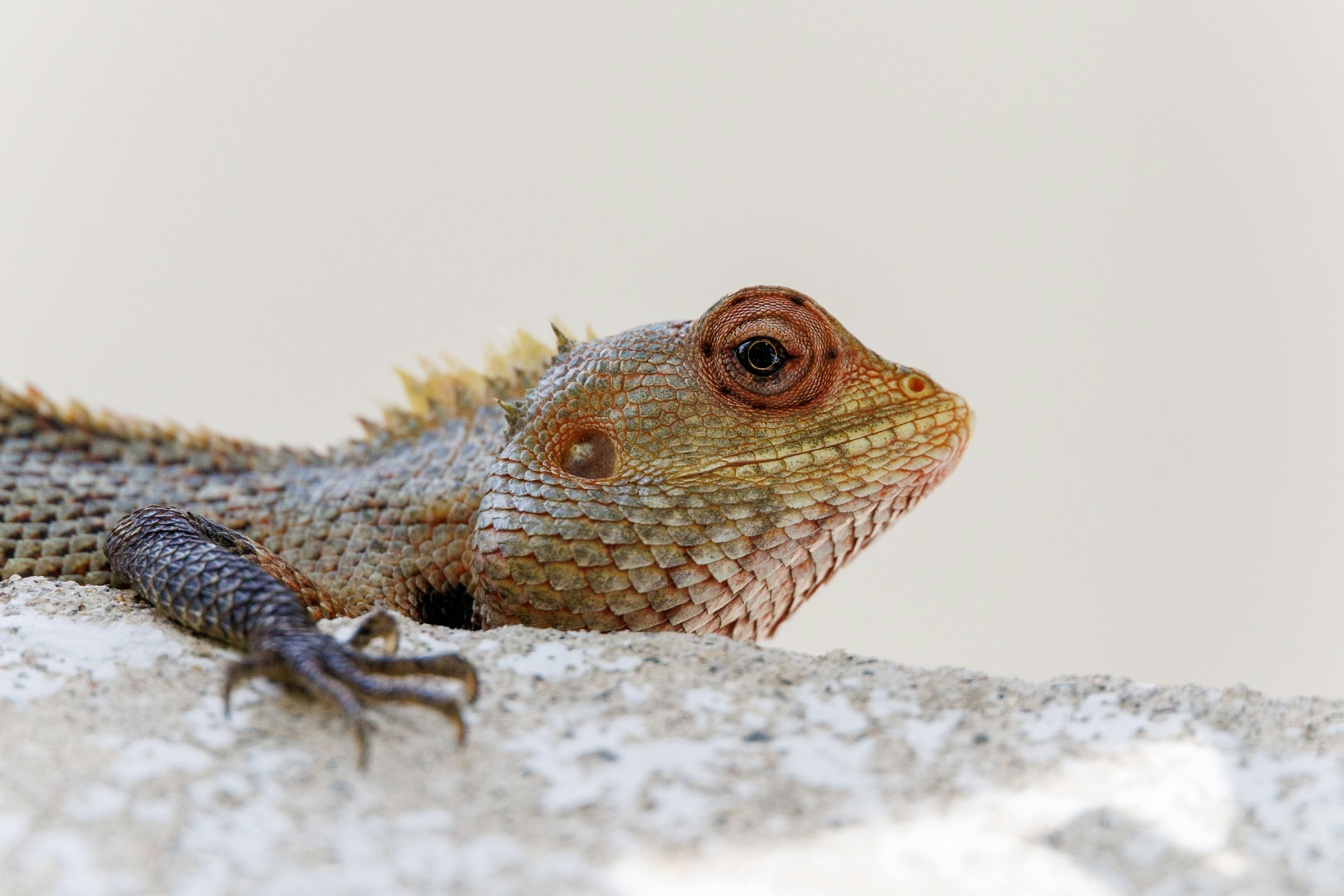 Photo by stockbirken