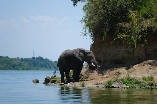Lake Mburo landscape