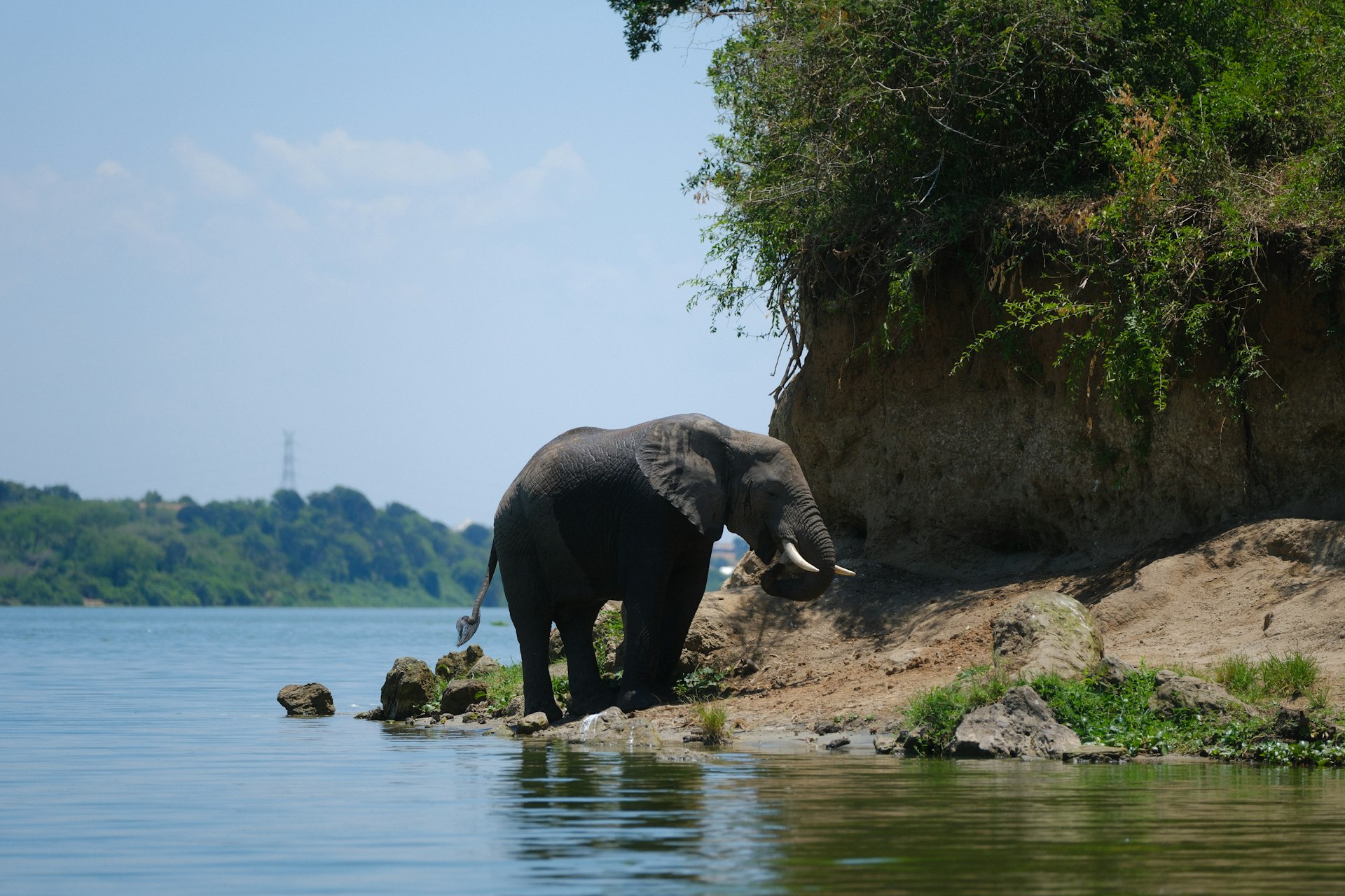 Experience Uganda Guided Tour