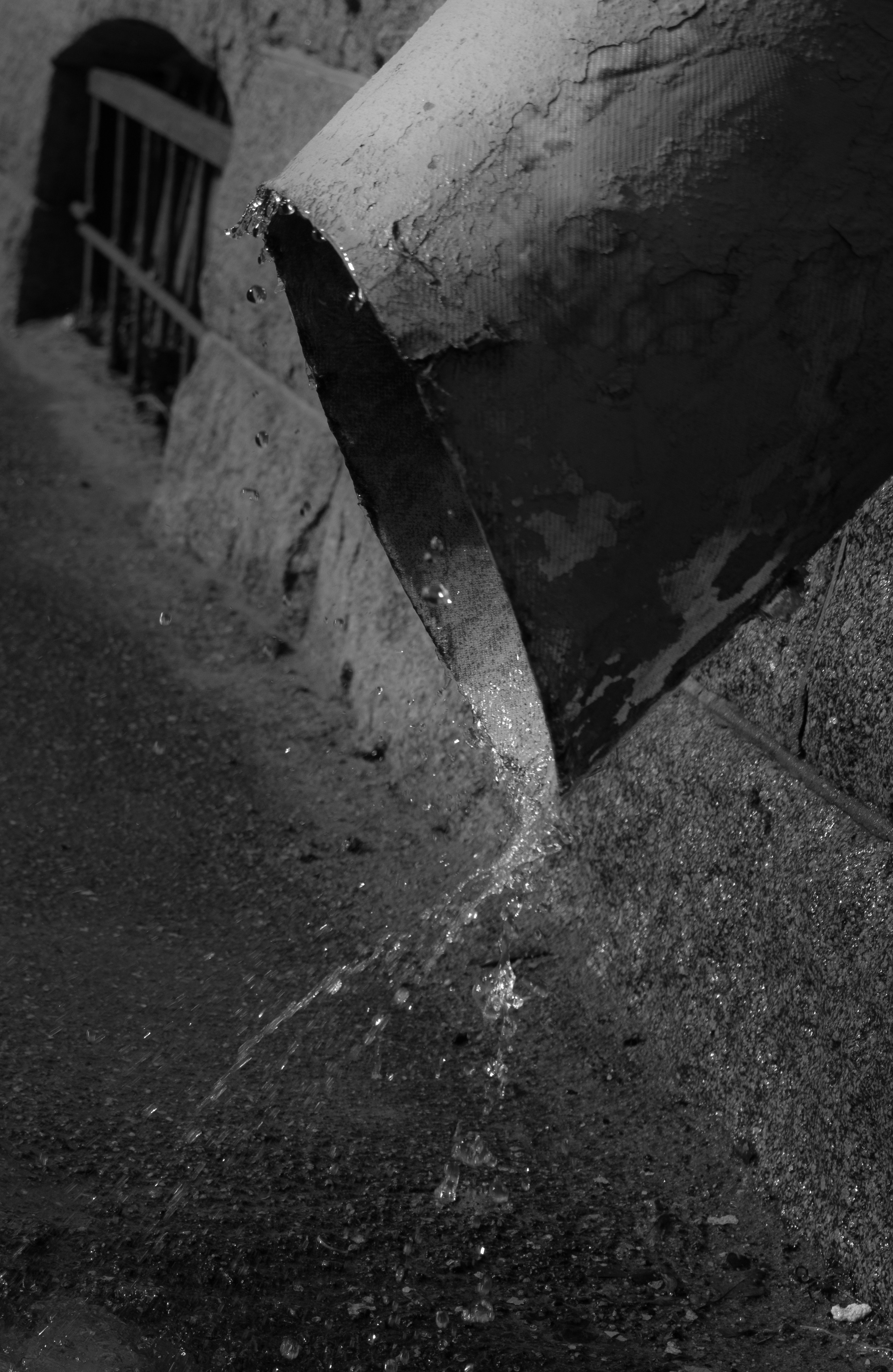 Photo by anna_photo_yozh