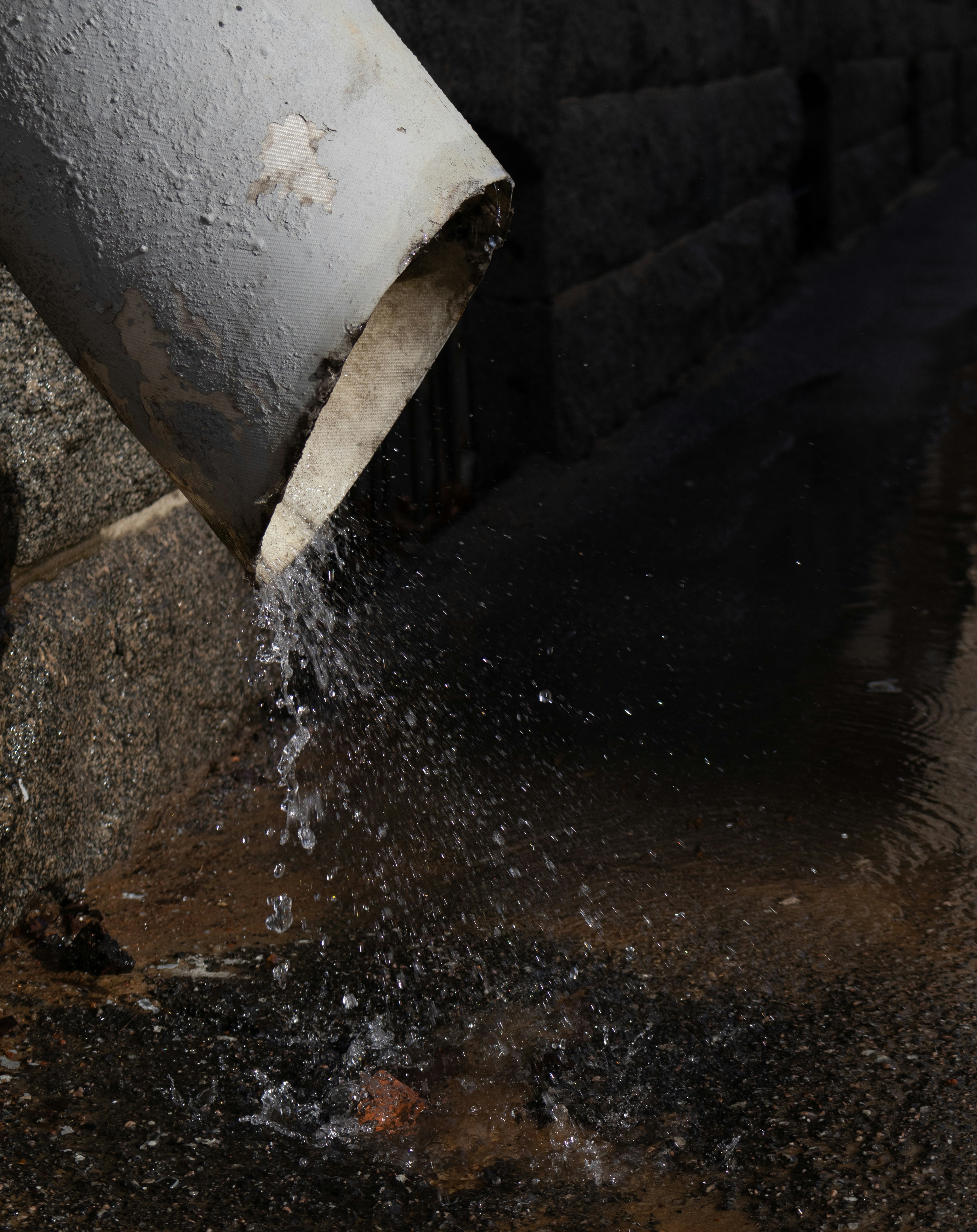 Photo by anna_photo_yozh