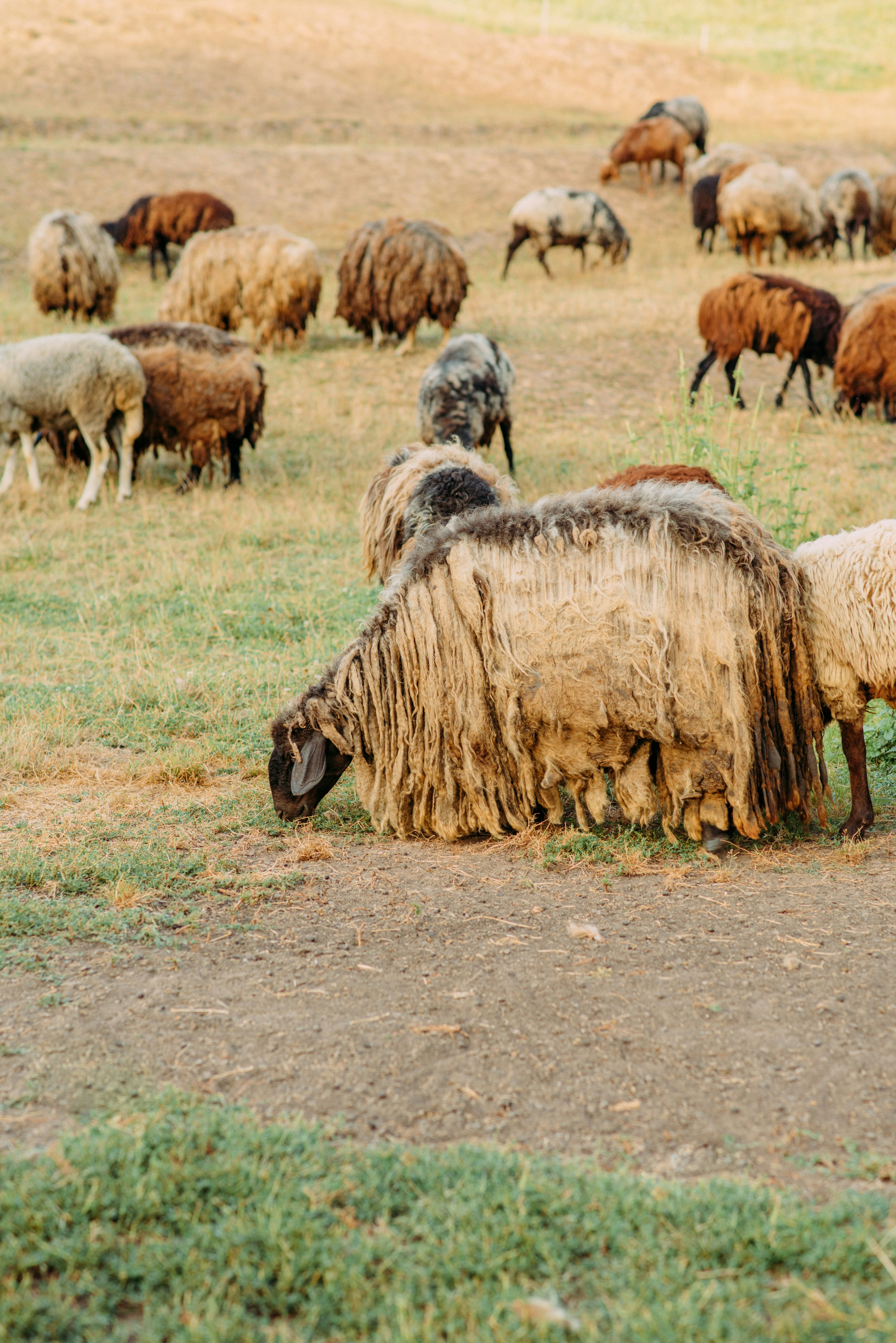 Photo by eugenivy_now